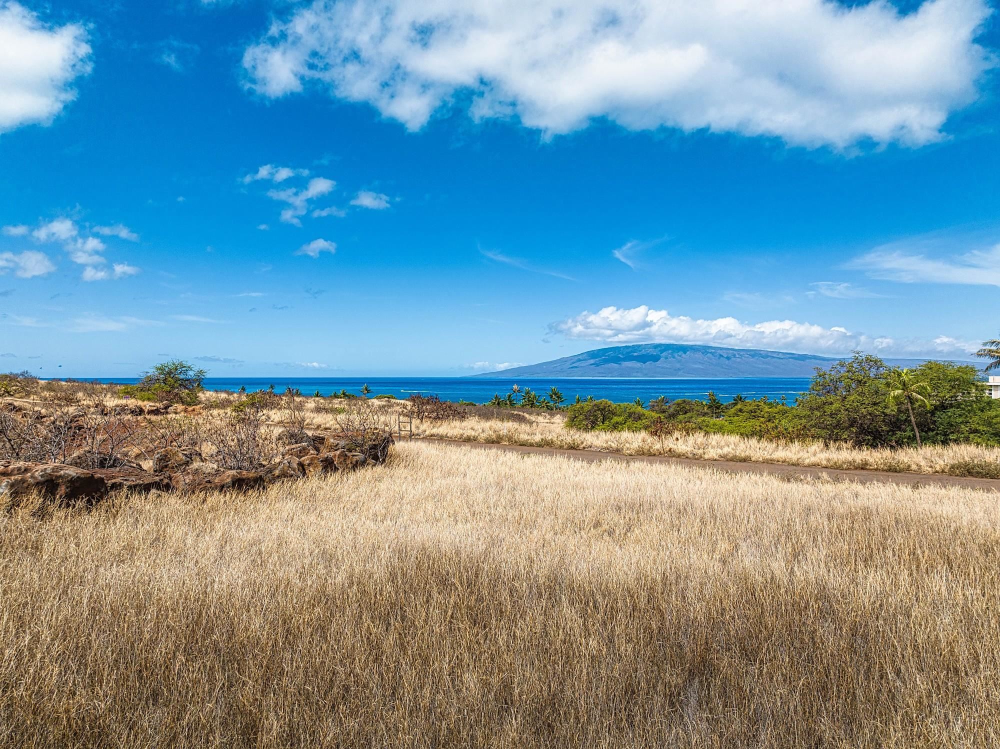 364 Anapuni Loop Property Photo 19