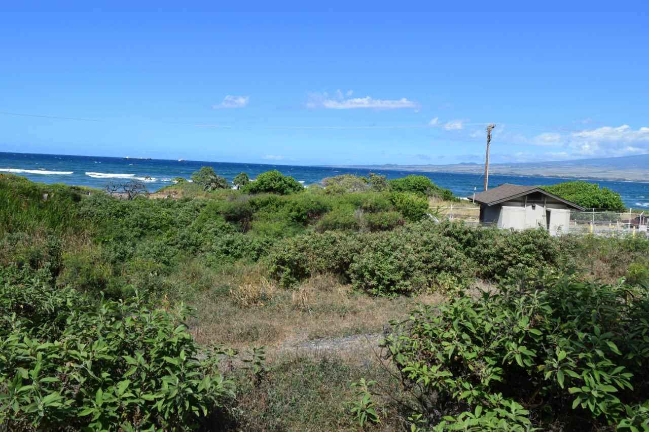 920 Akake St Property Photo 10