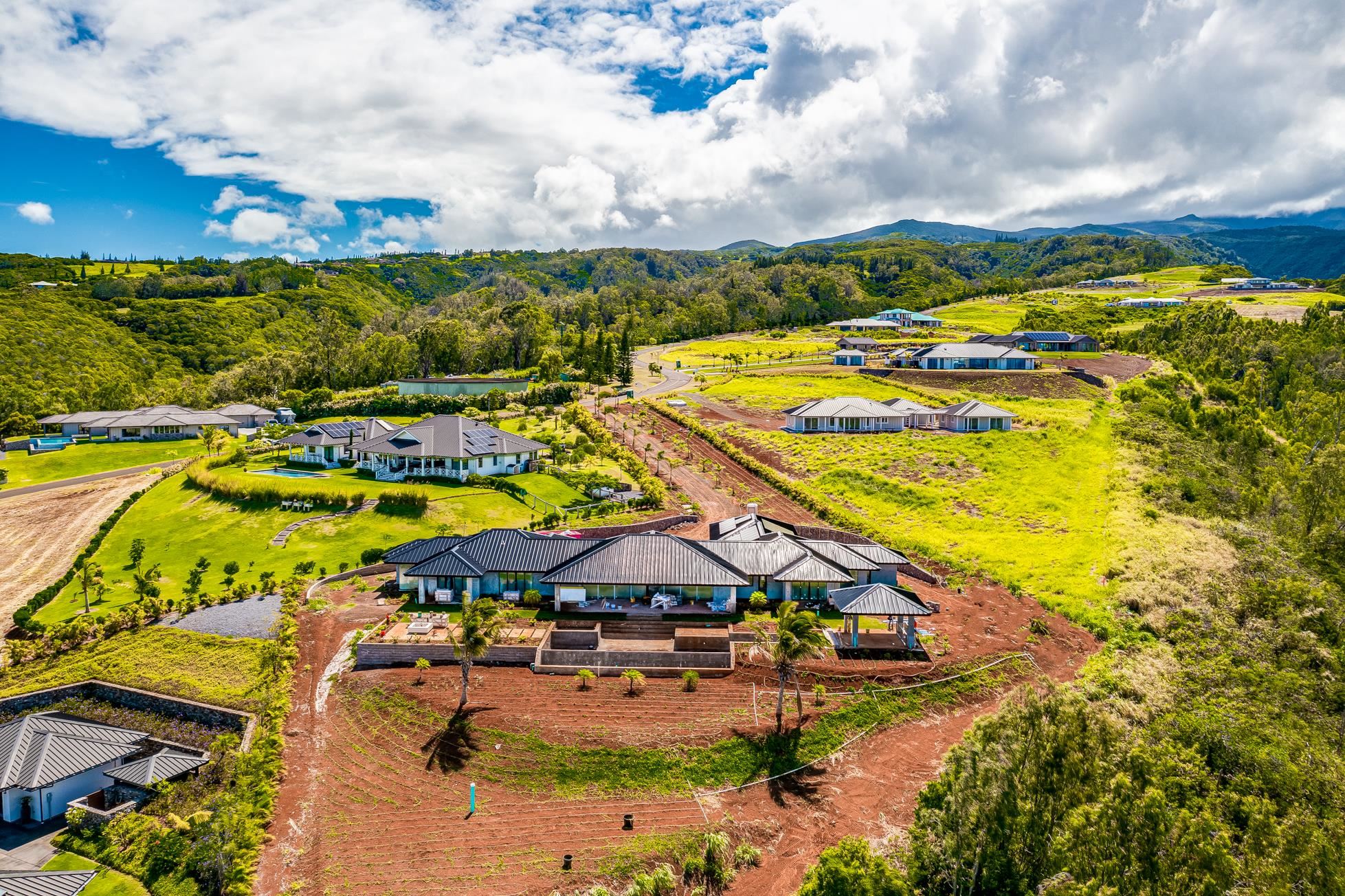 410 Mahana Ridge St Property Photo