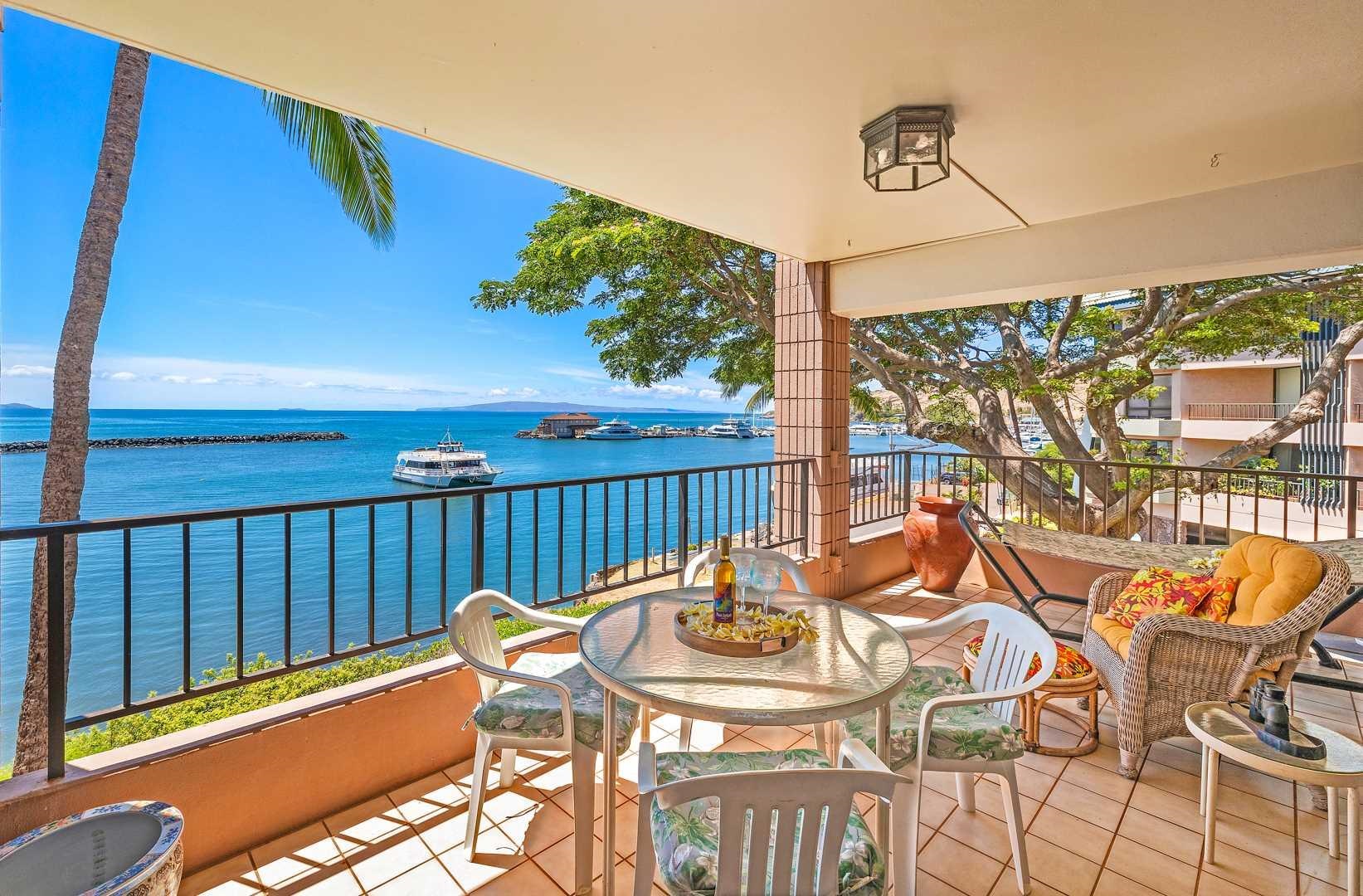 30 Hauoli St Property Photo 1