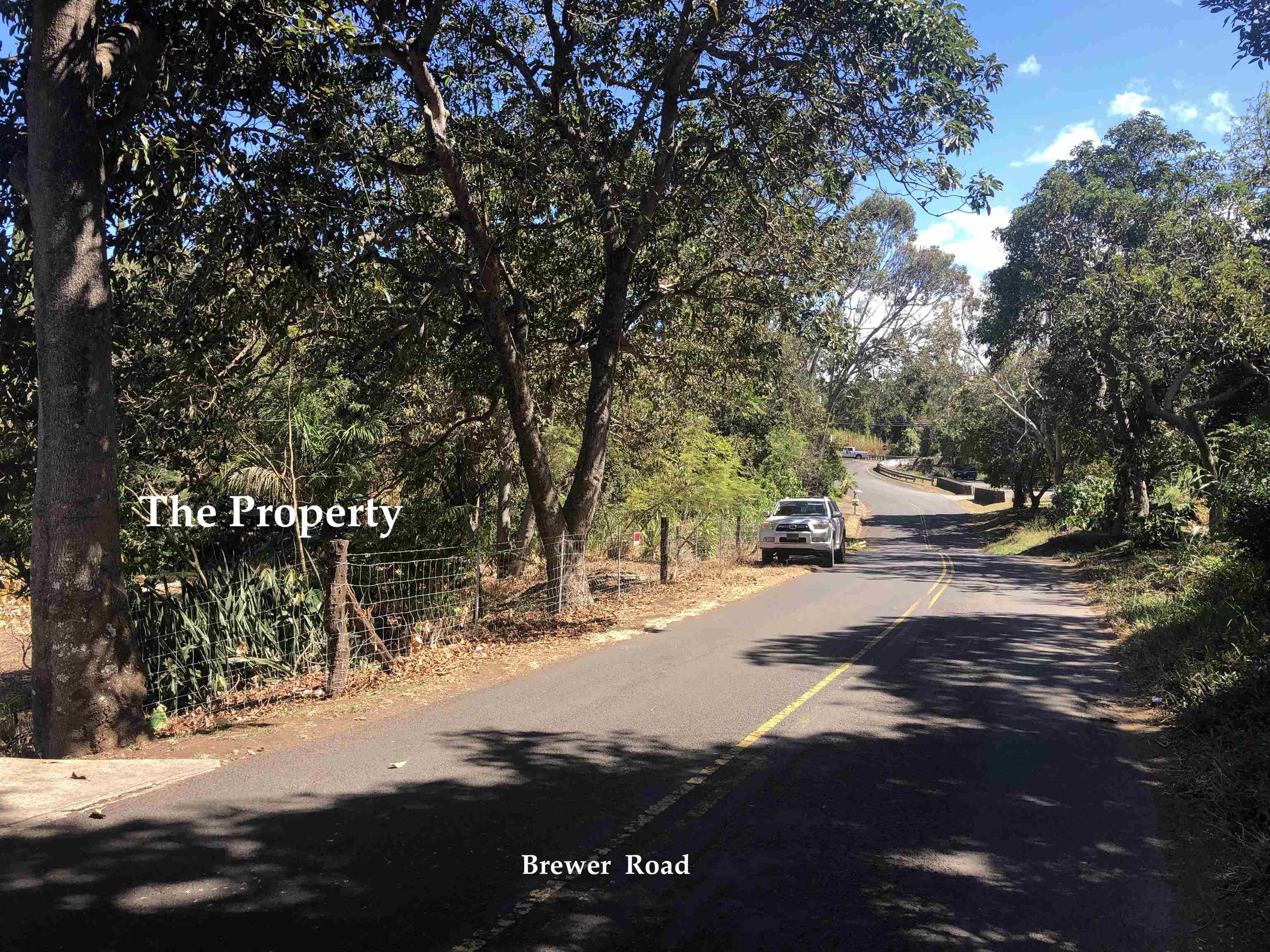 0 Brewer Rd Property Photo 2