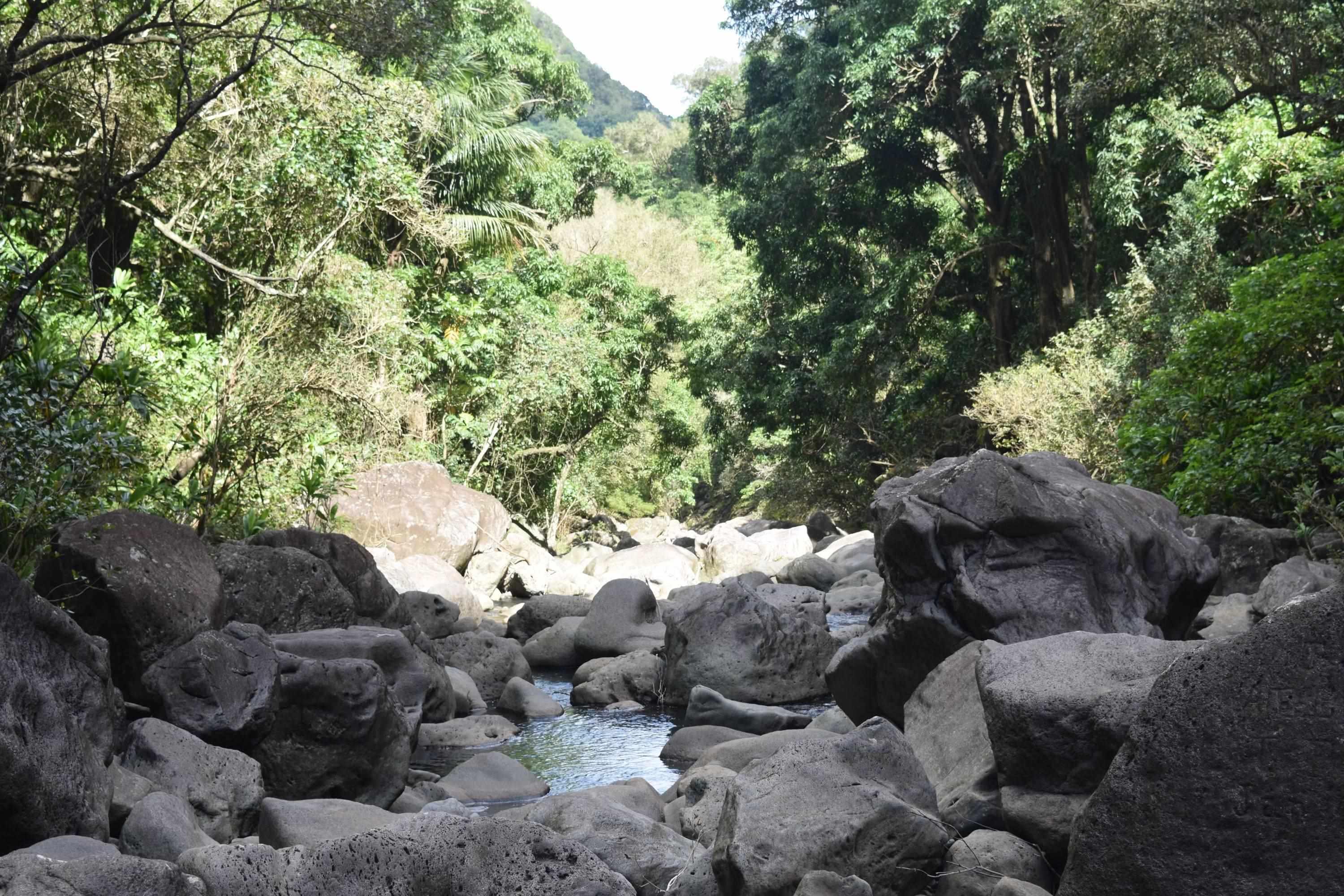 0 Halawa Pl Property Photo 3