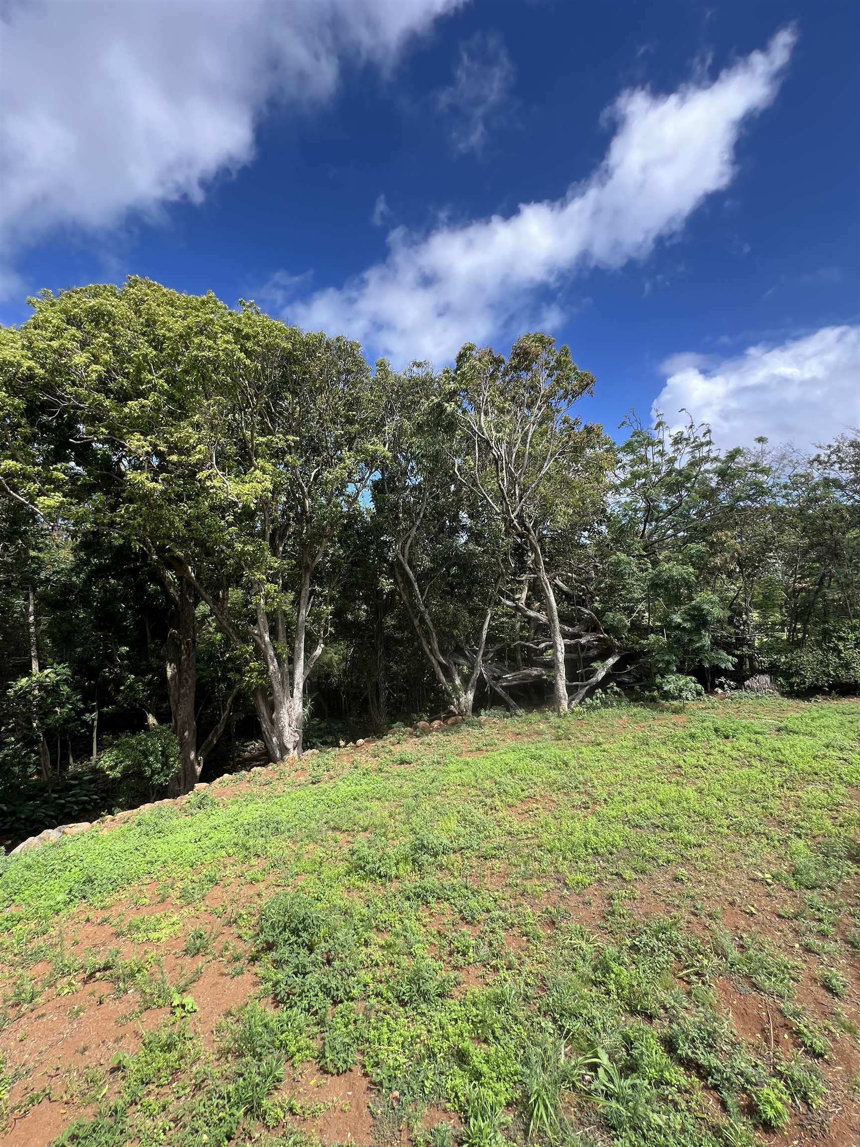 50 Pauwela Rd Property Photo 1