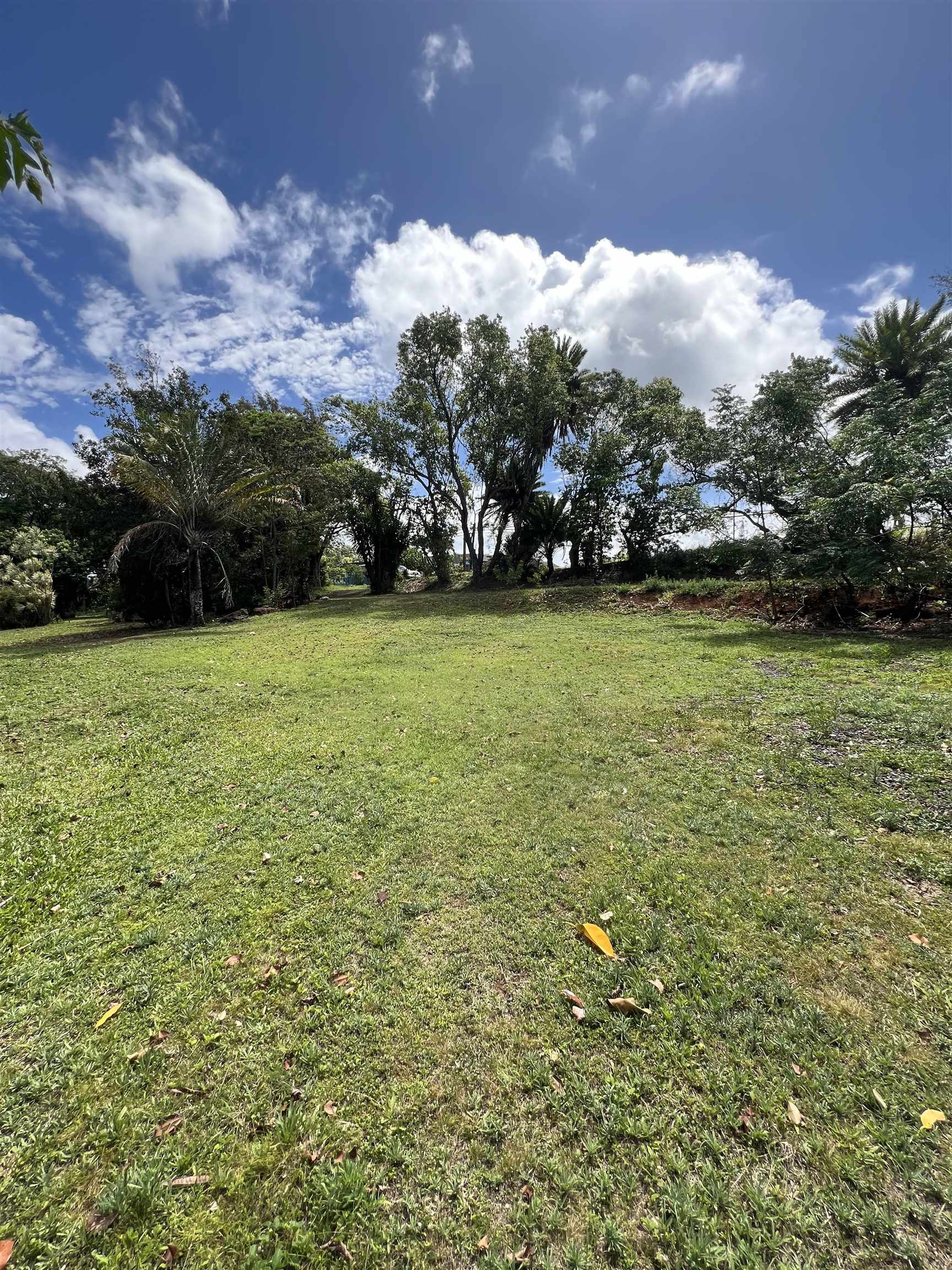 50 Pauwela Rd Property Photo 1