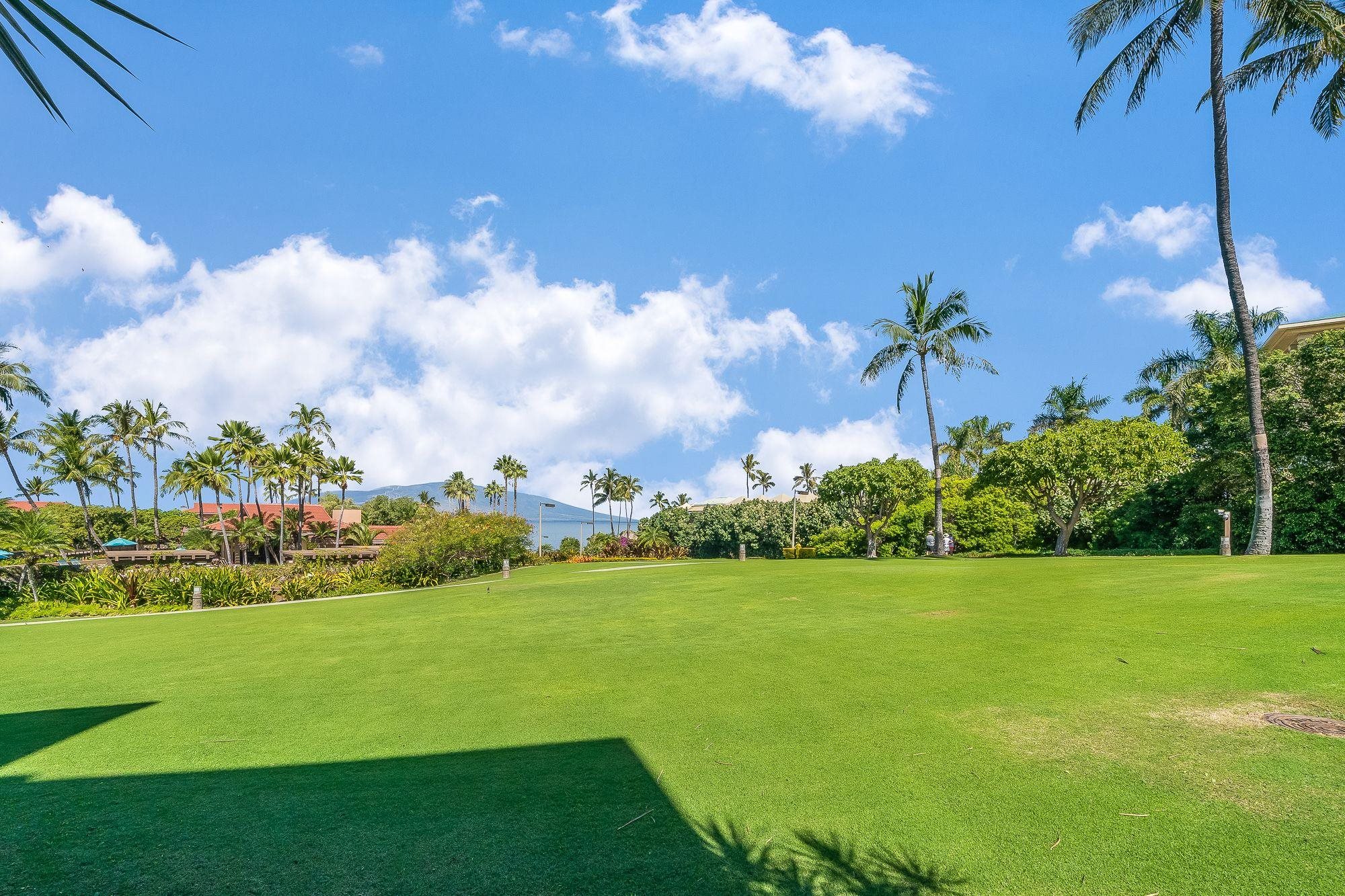 4000 Wailea Alanui Dr Property Photo 21