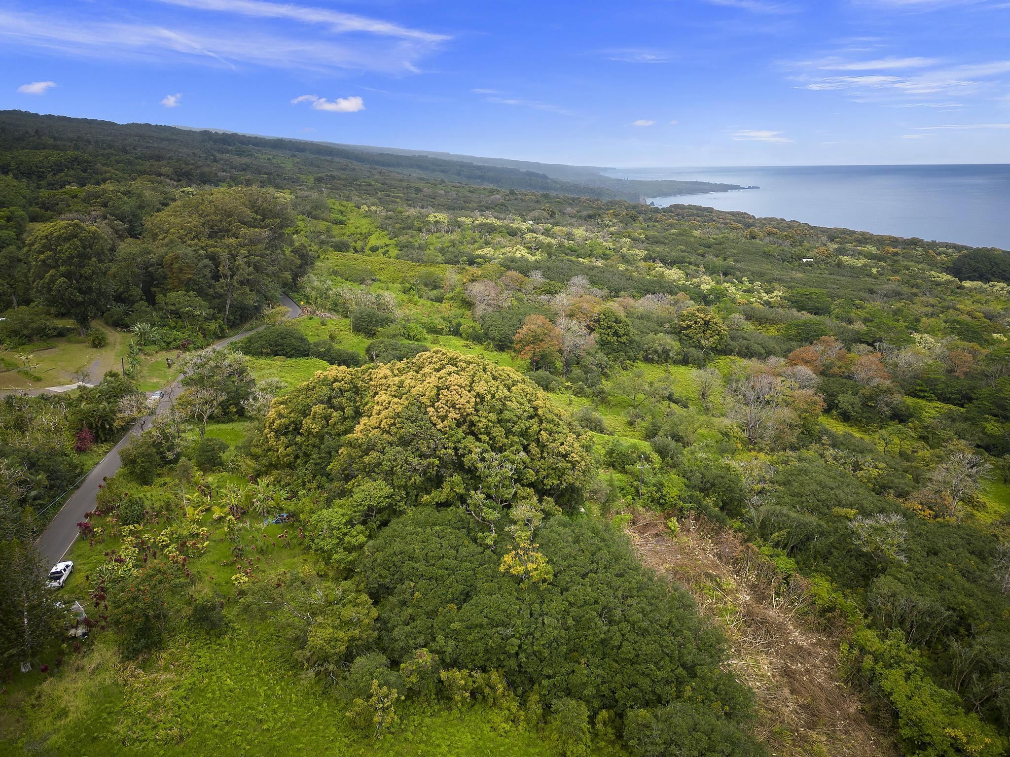 Lot 20 Hana Hwy Property Photo 2
