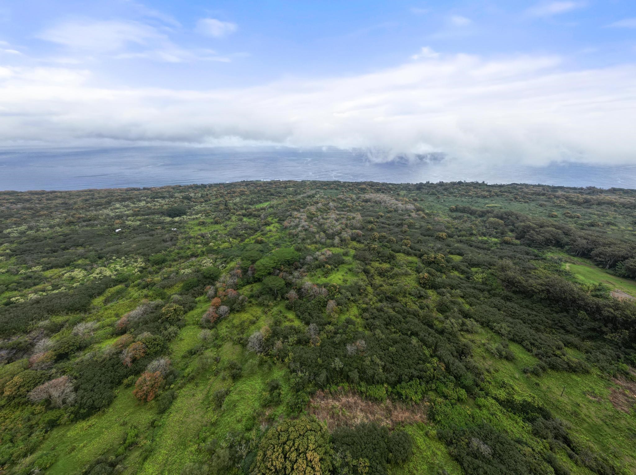 Lot 20 Hana Hwy Property Photo 3
