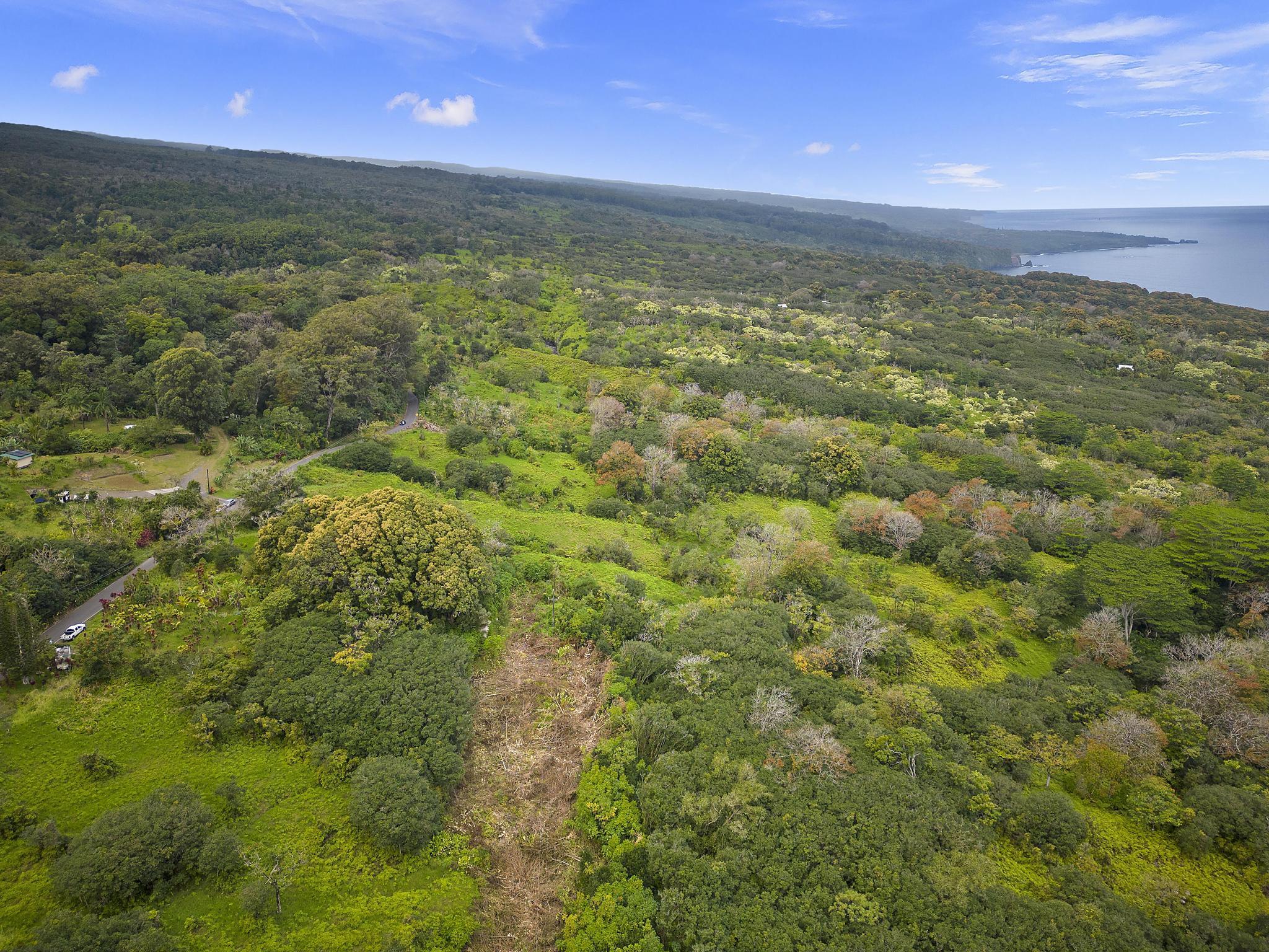 Lot 20 Hana Hwy Property Photo 4