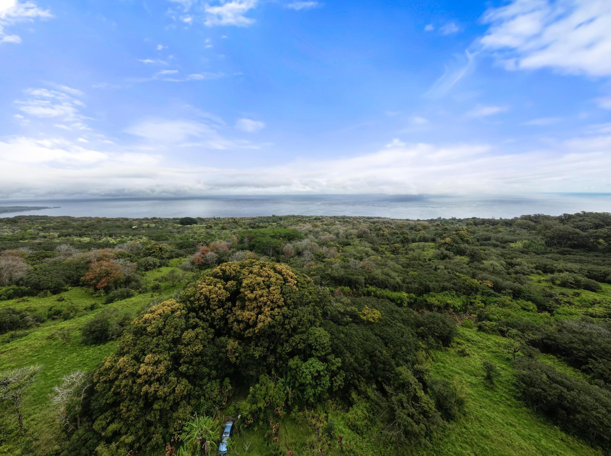 Lot 20 Hana Hwy Property Photo 6