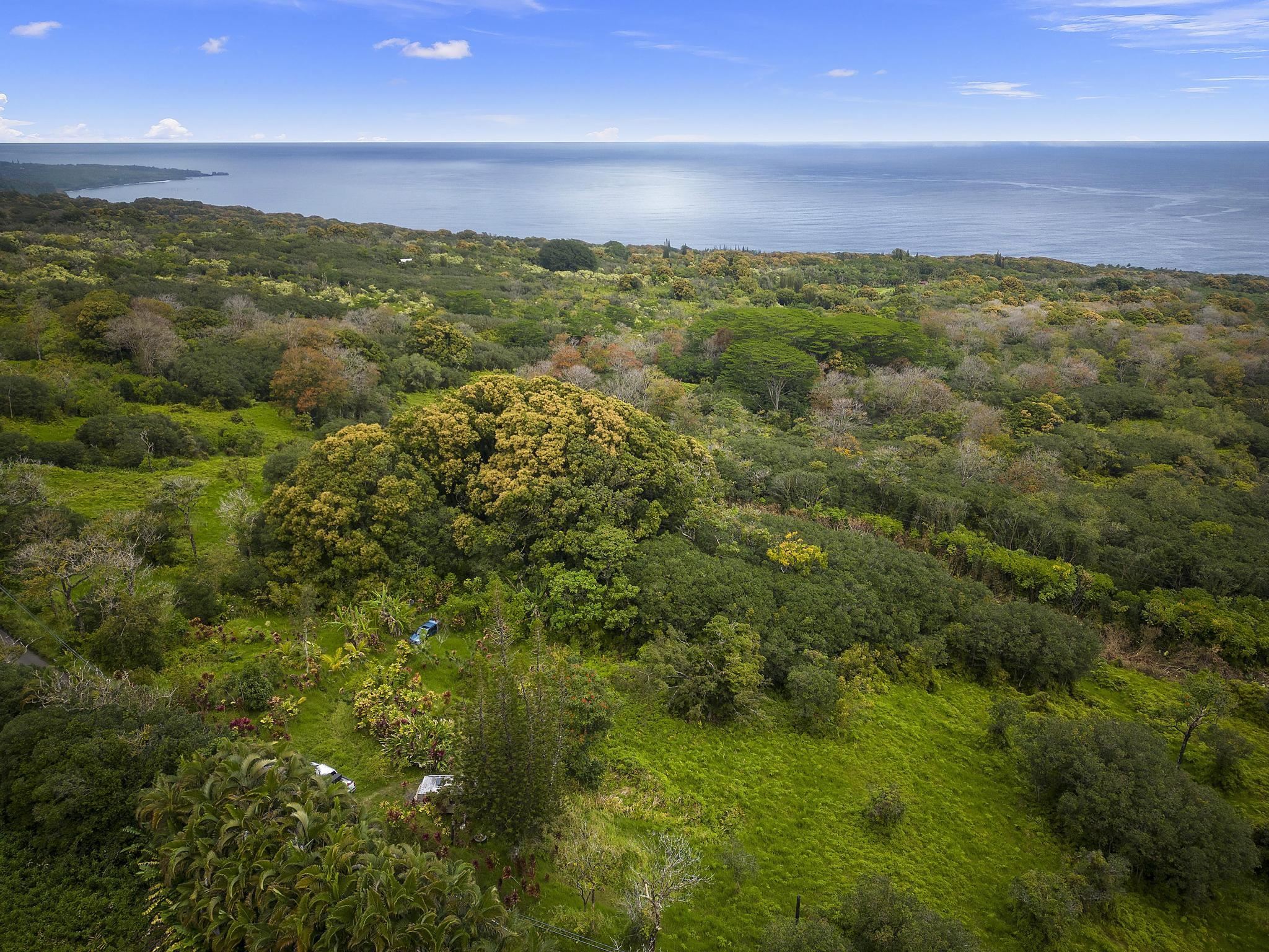 Lot 20 Hana Hwy Property Photo 7