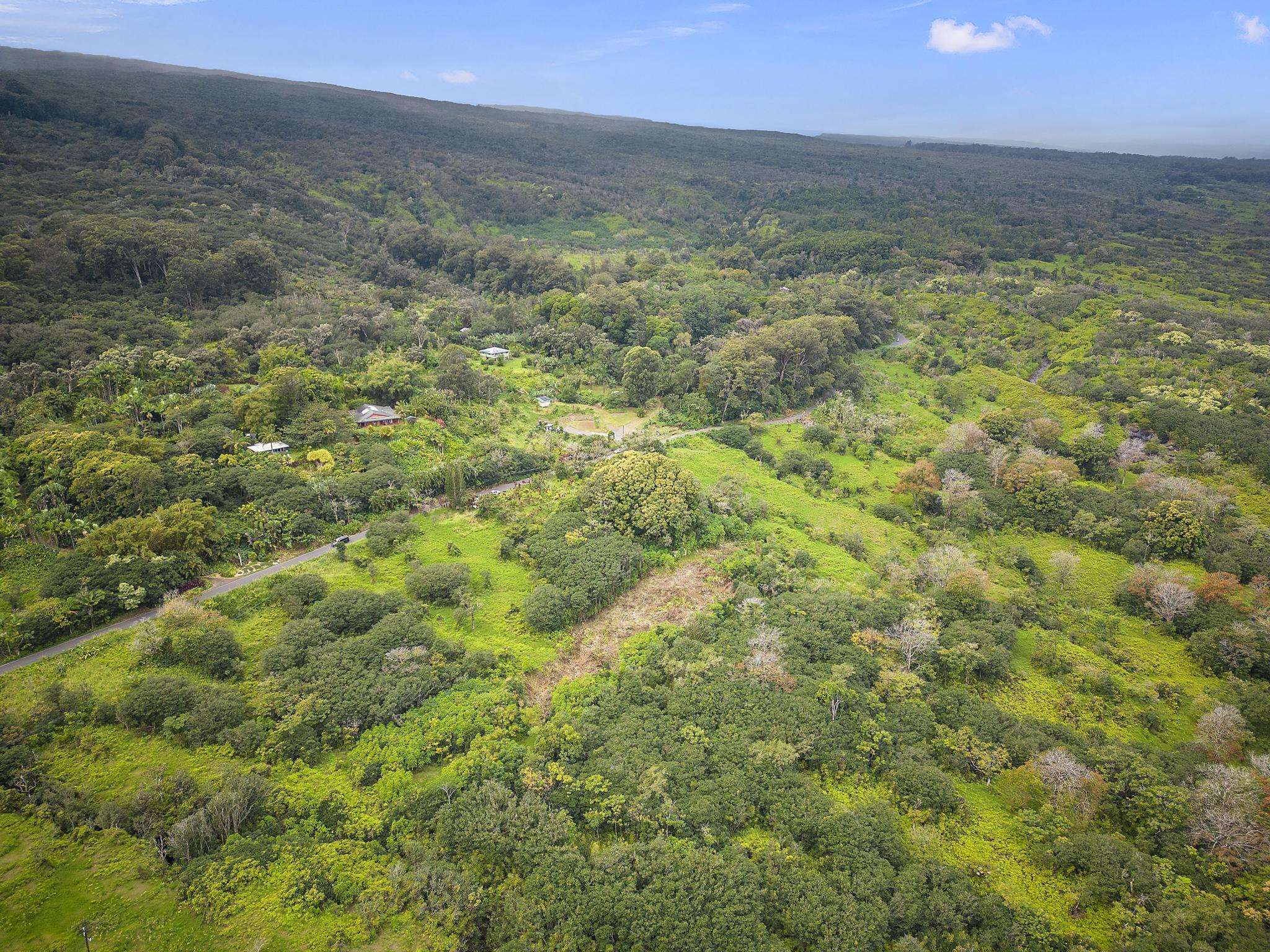 Lot 20 Hana Hwy Property Photo 10