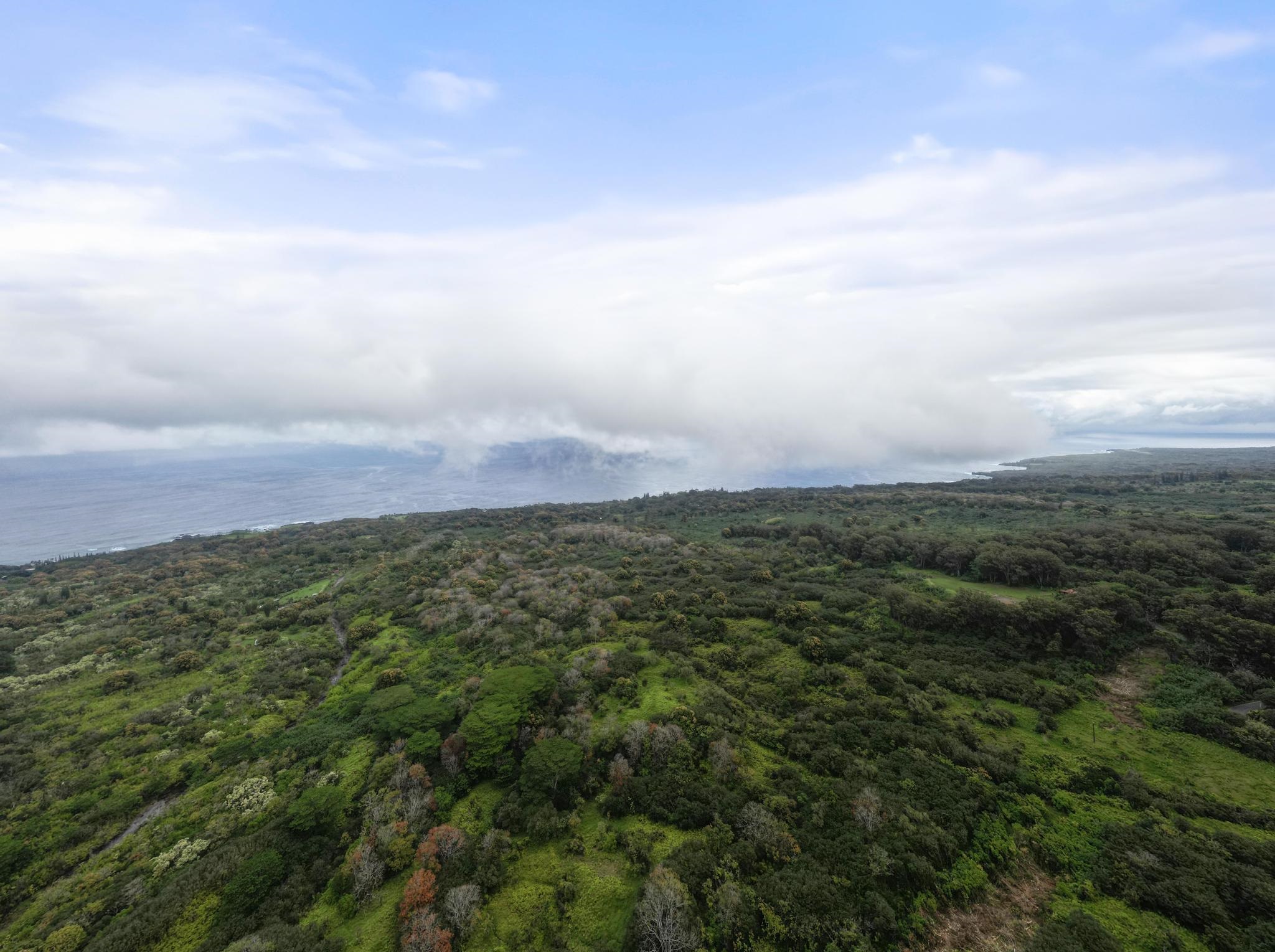 Lot 20 Hana Hwy Property Photo 14