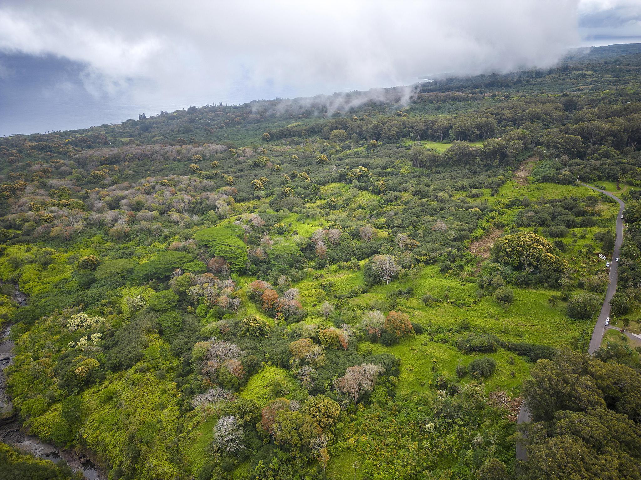 Lot 20 Hana Hwy Property Photo 15