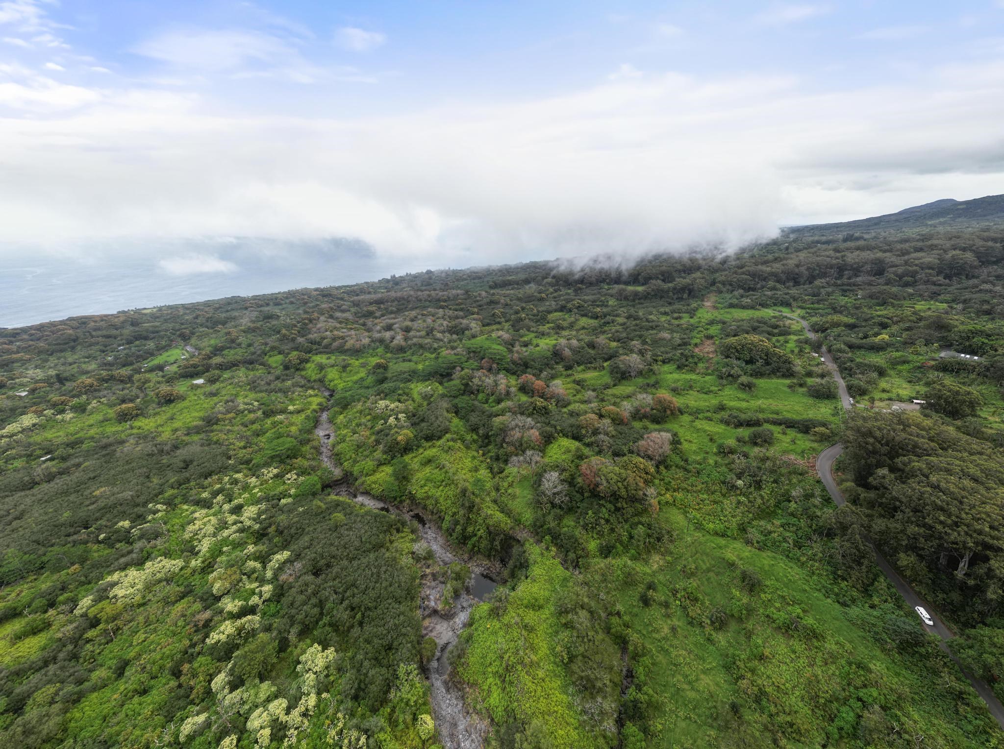 Lot 20 Hana Hwy Property Photo 17