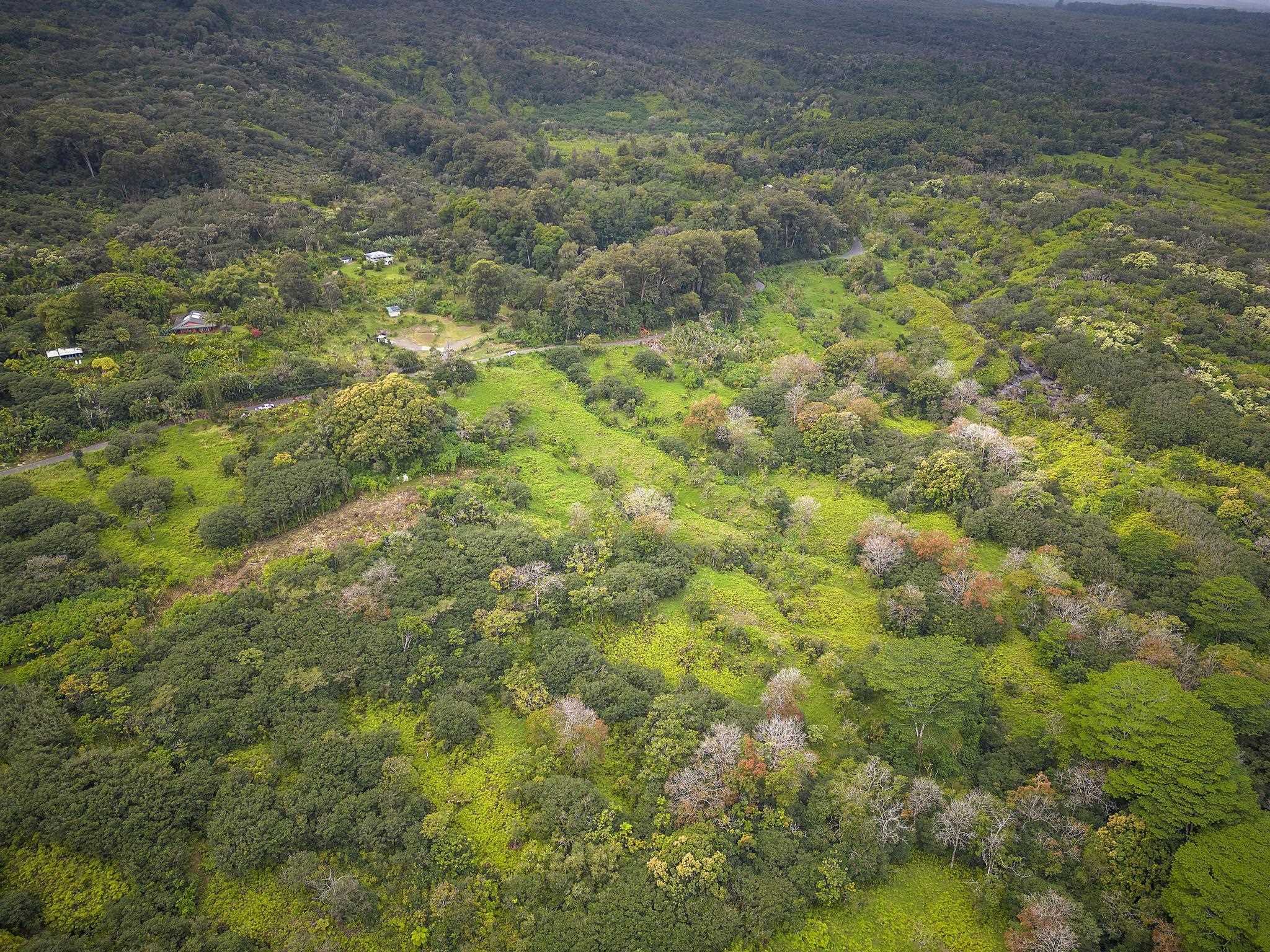 Lot 20 Hana Hwy Property Photo 18