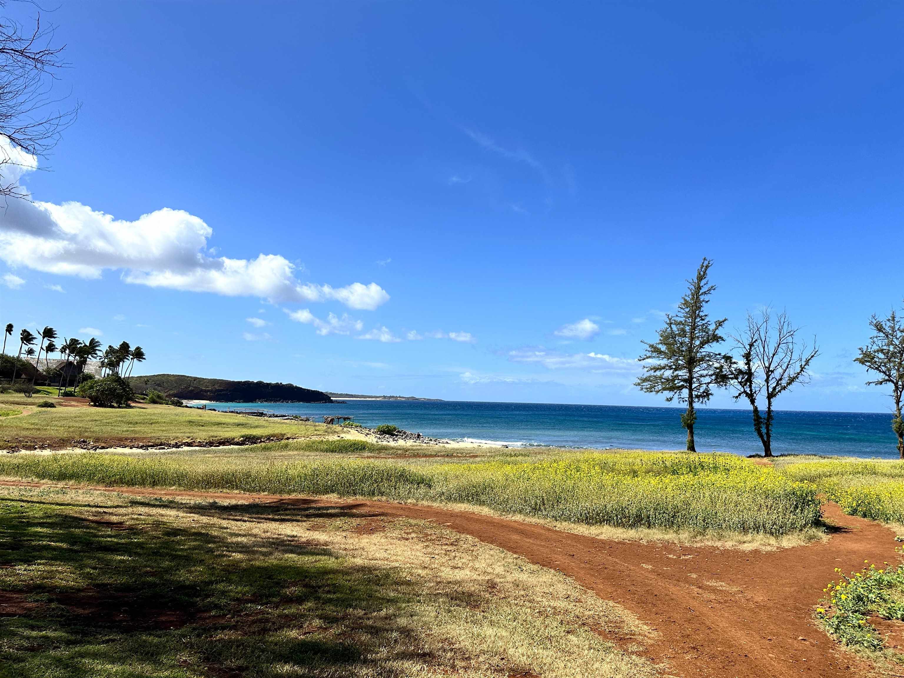 100 Lio Pl Property Photo 35