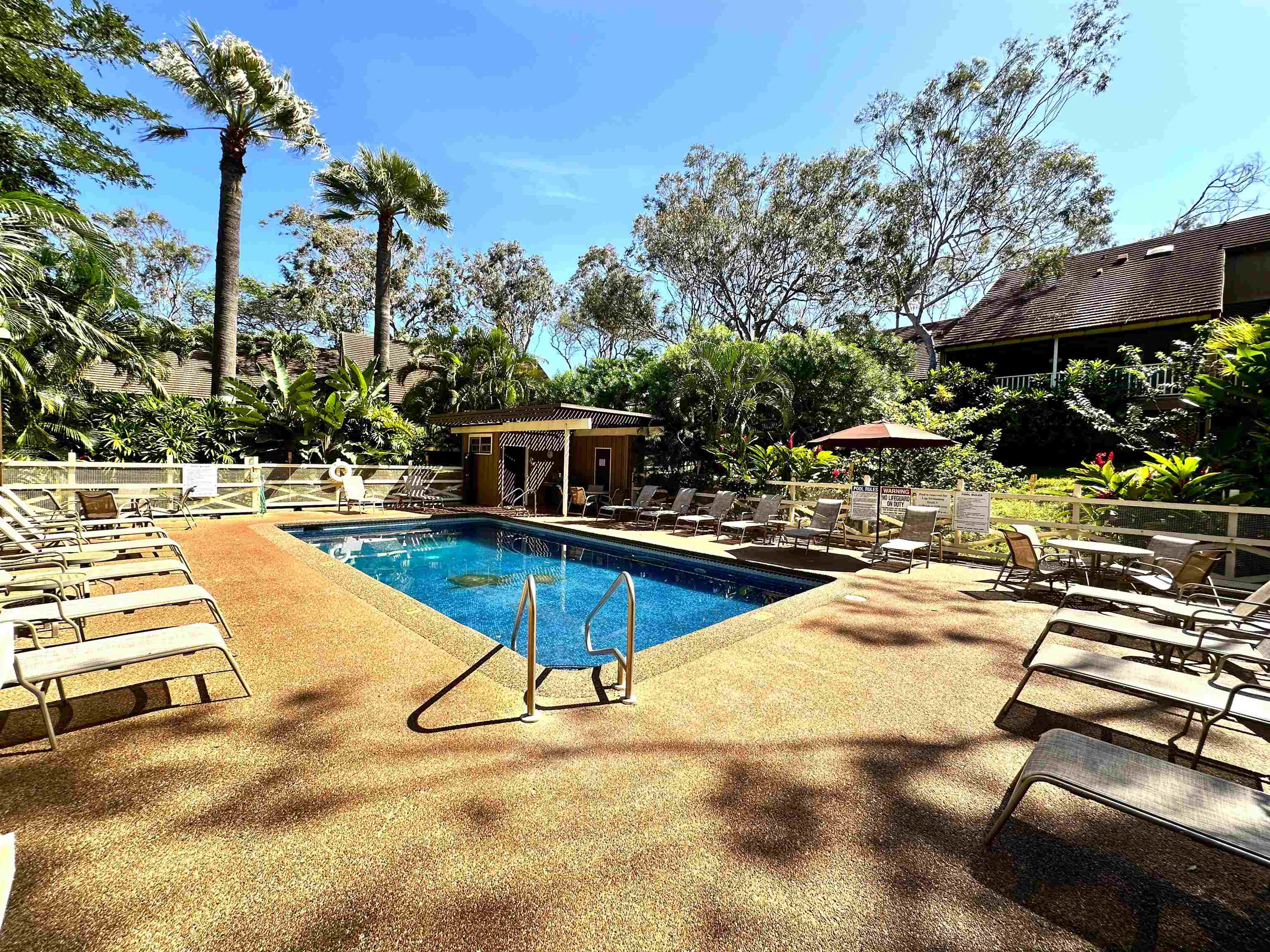 100 Lio Pl Property Photo 36