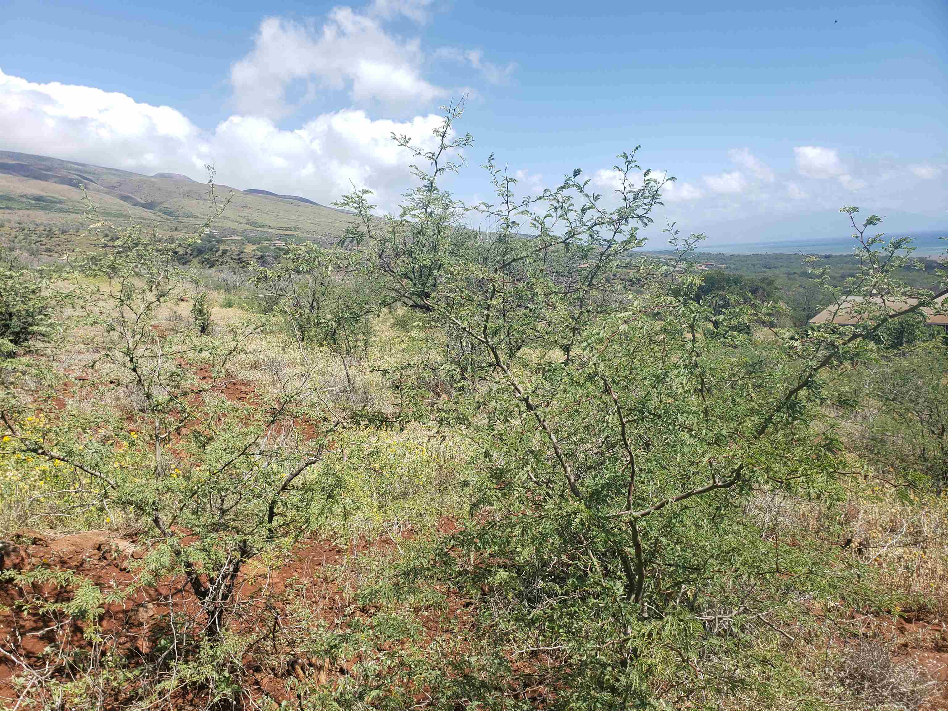 212 Ulua Rd Property Photo 4