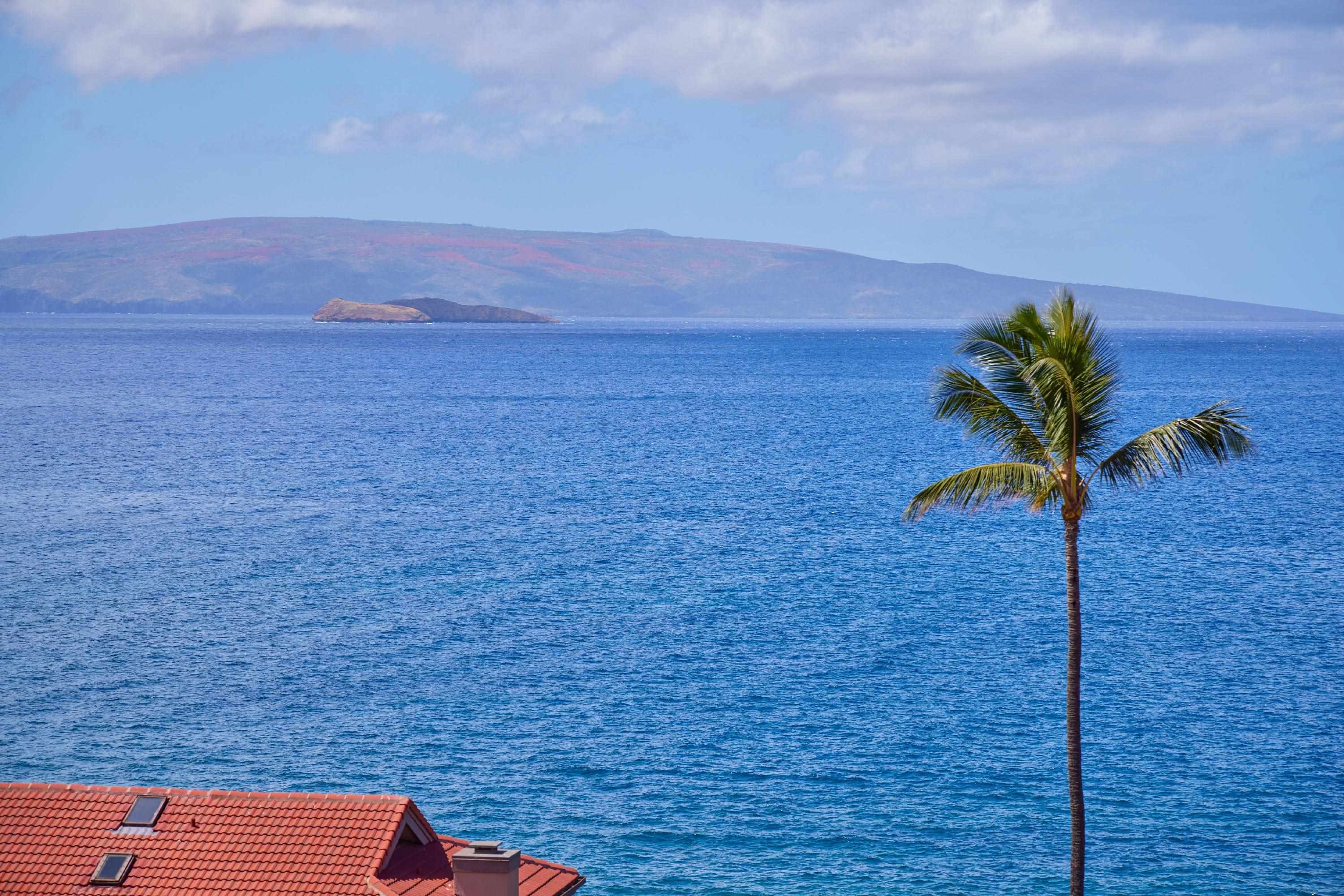 4000 Wailea Alanui Dr Property Photo 3