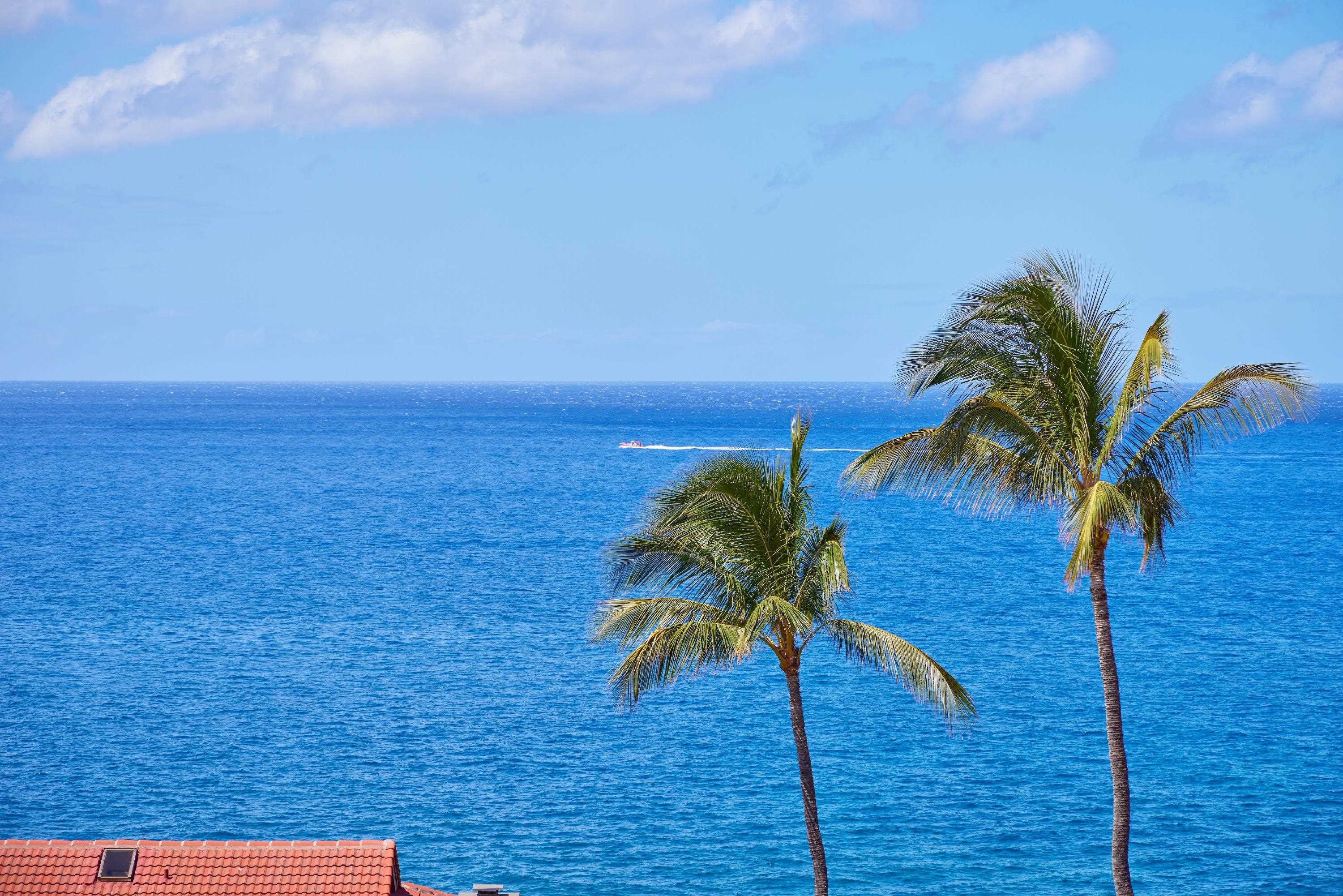4000 Wailea Alanui Dr Property Photo 30
