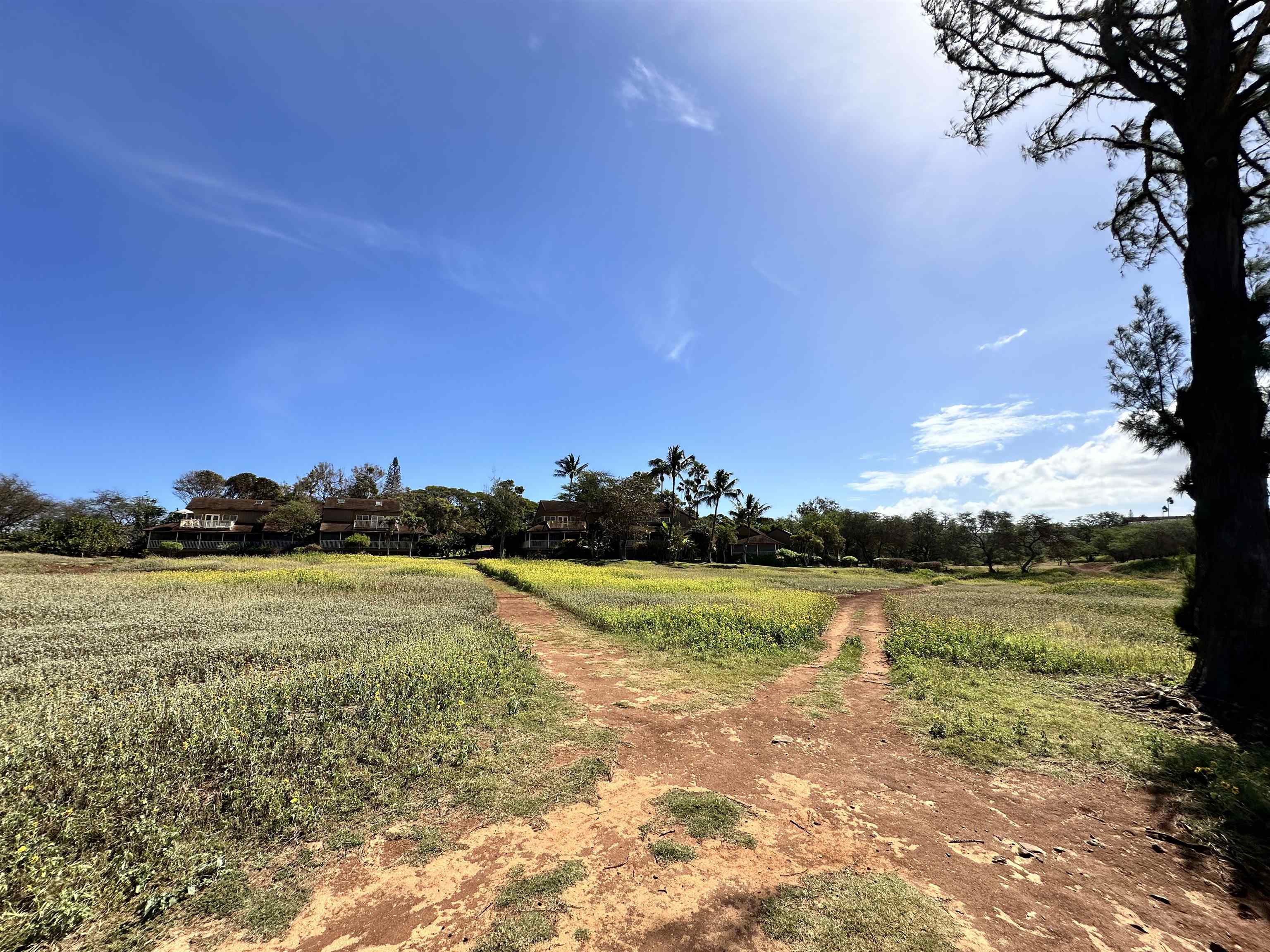 100 Lio Pl Property Photo 21