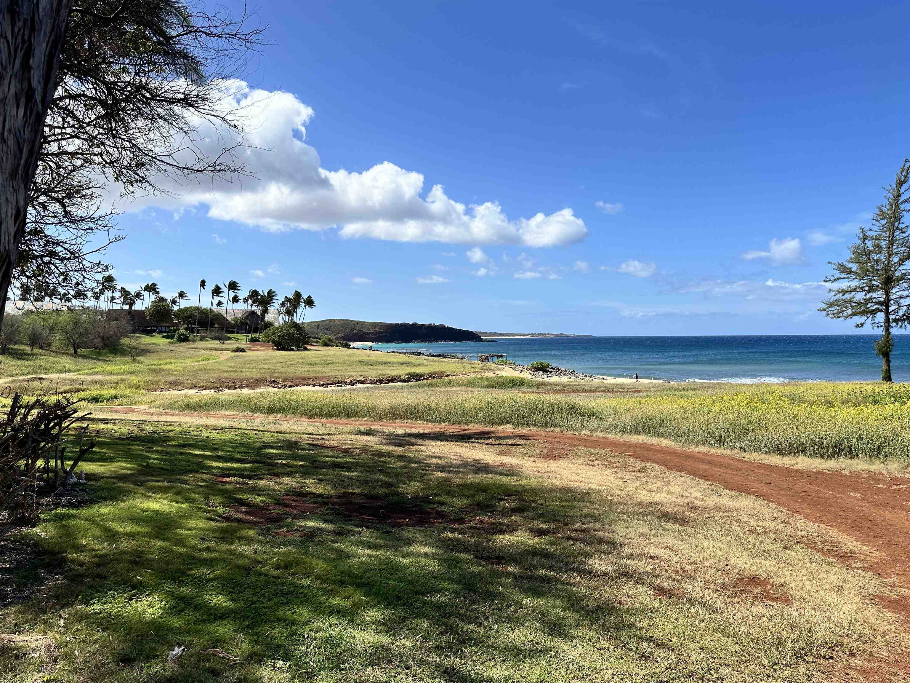 100 Lio Pl Property Photo 22