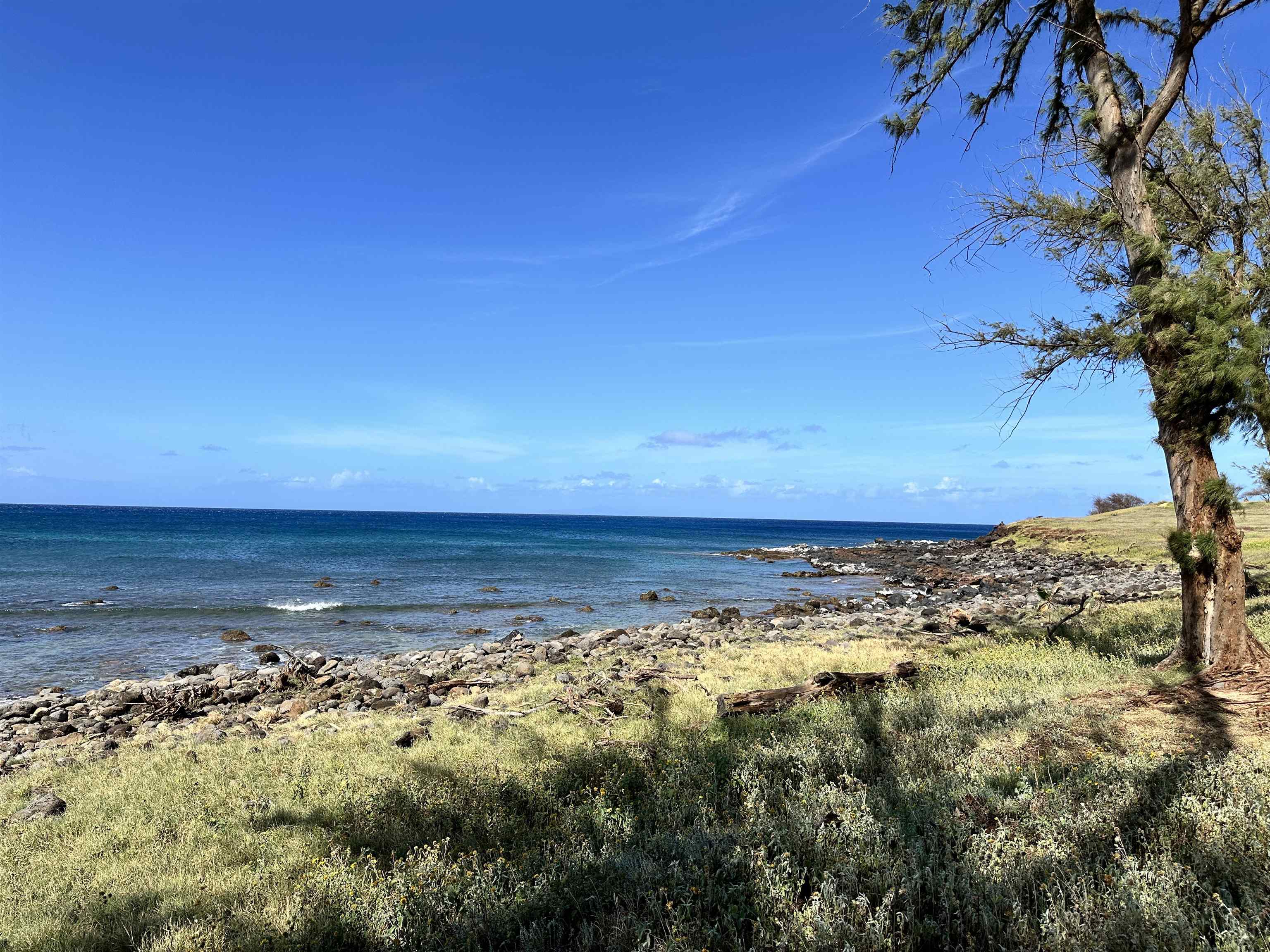 100 Lio Pl Property Photo 31