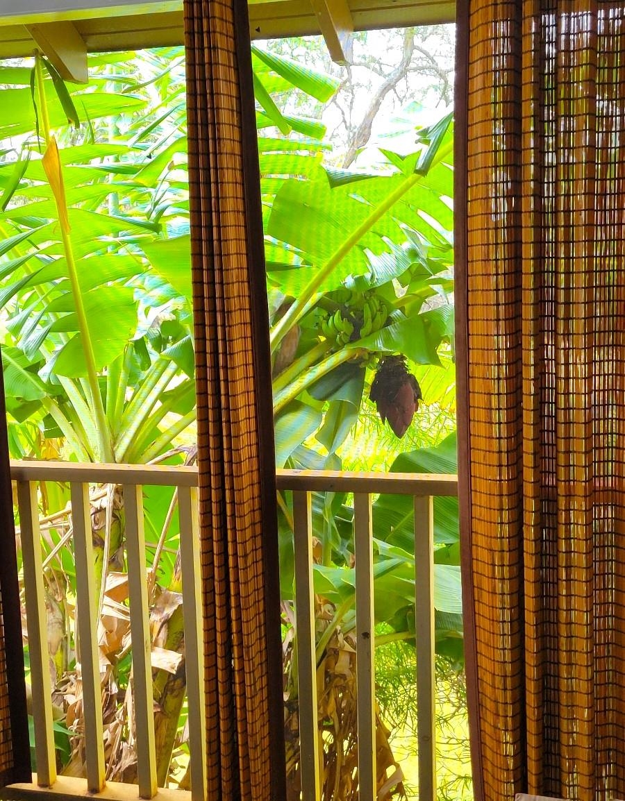 100 Lio Pl Property Photo 34