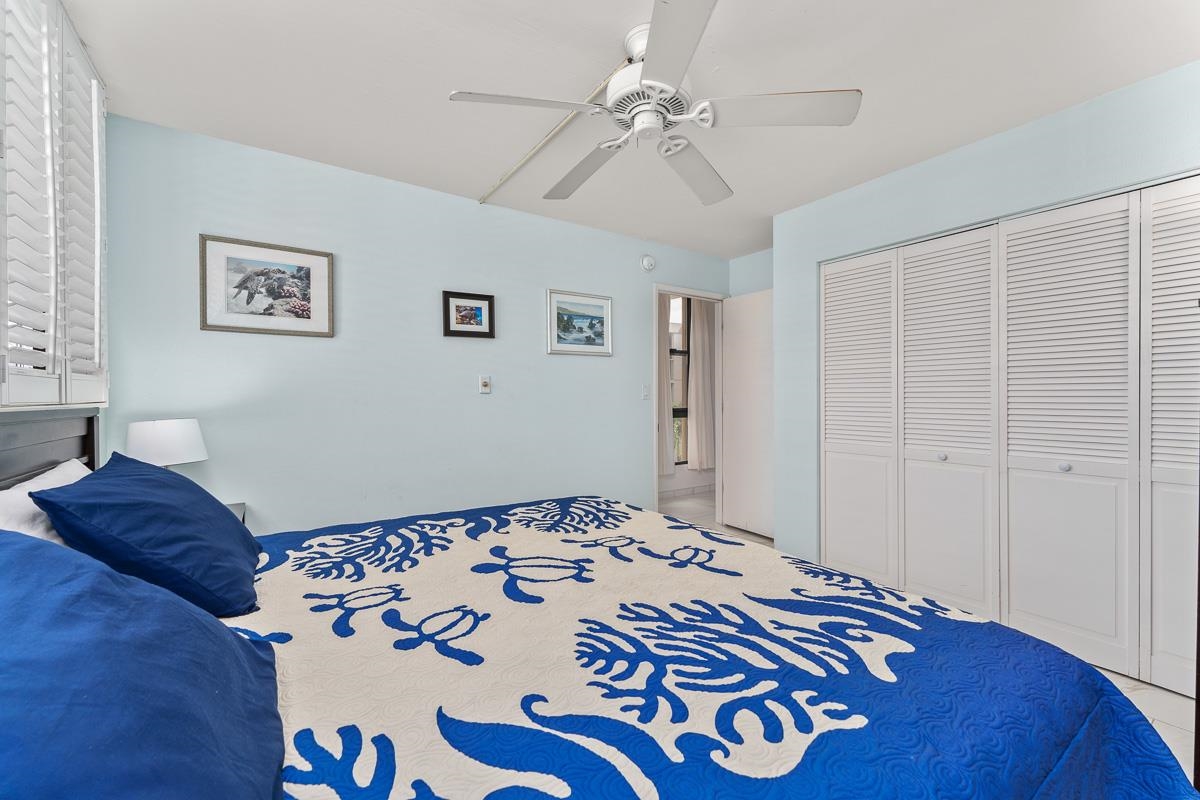 50 Hauoli St Property Photo 27