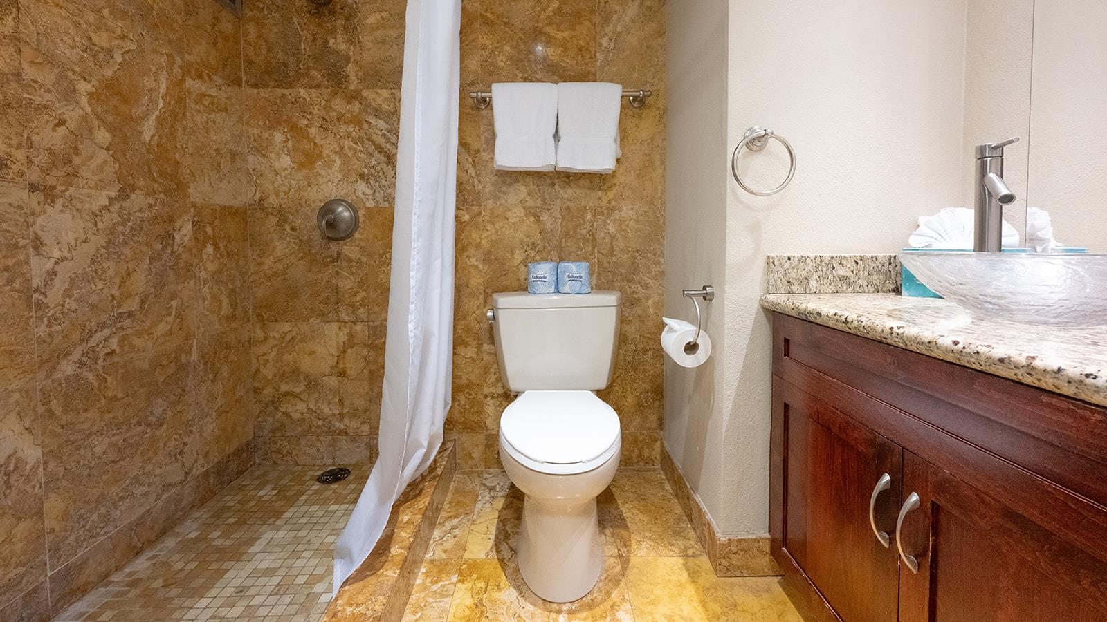 110 Kaanapali Shores Pl Pl Property Photo 20