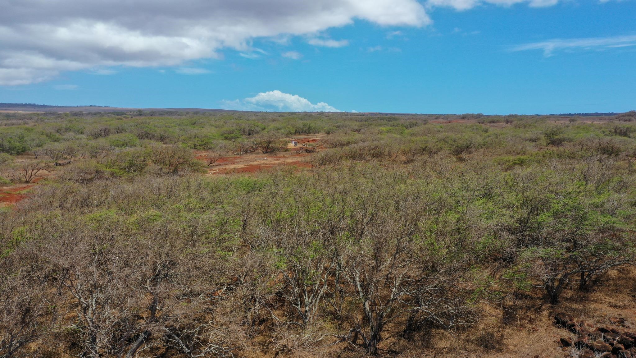 4300 Pohakuloa Rd Property Photo 8