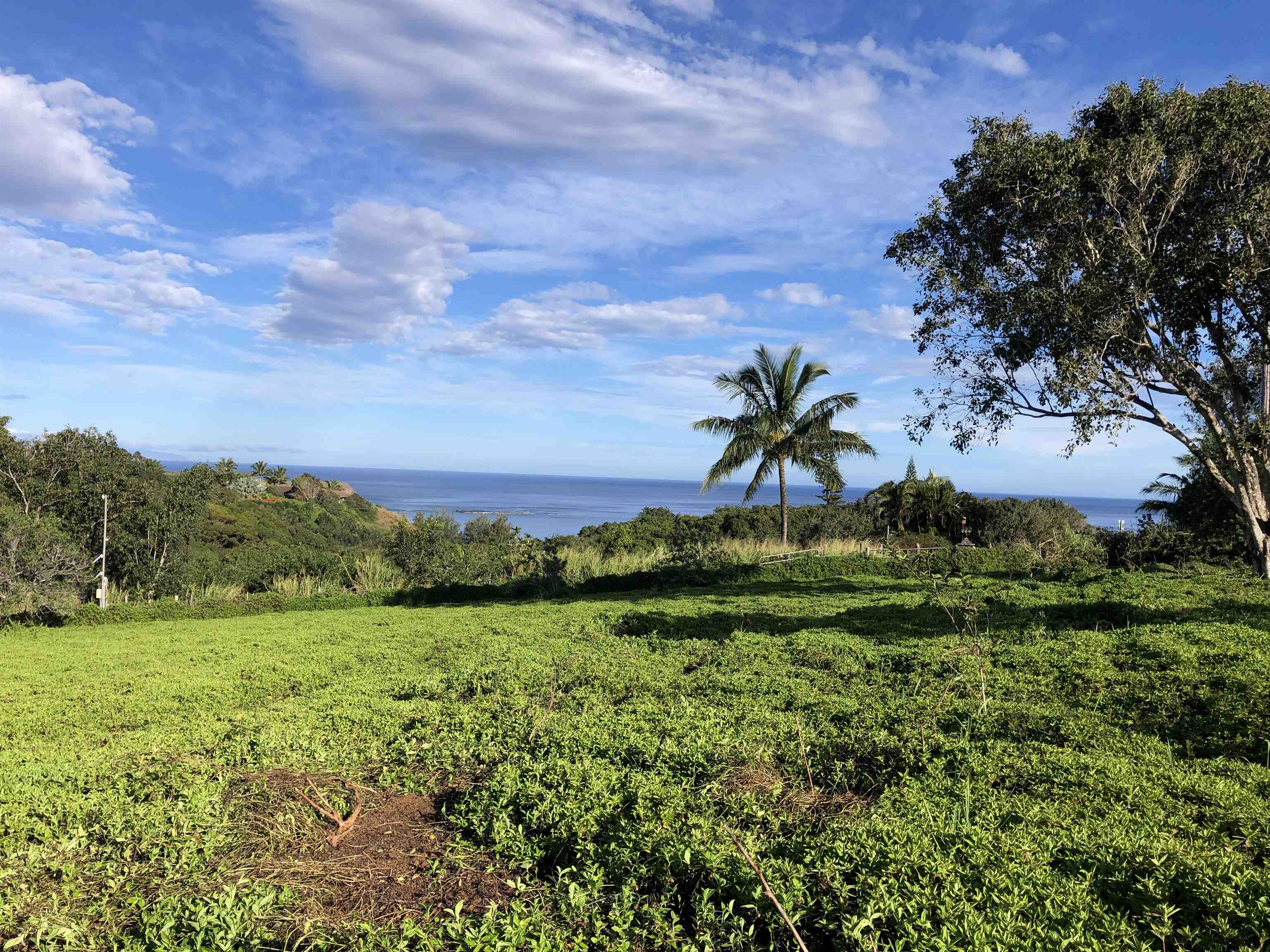 0 Haumana Rd Property Photo 5