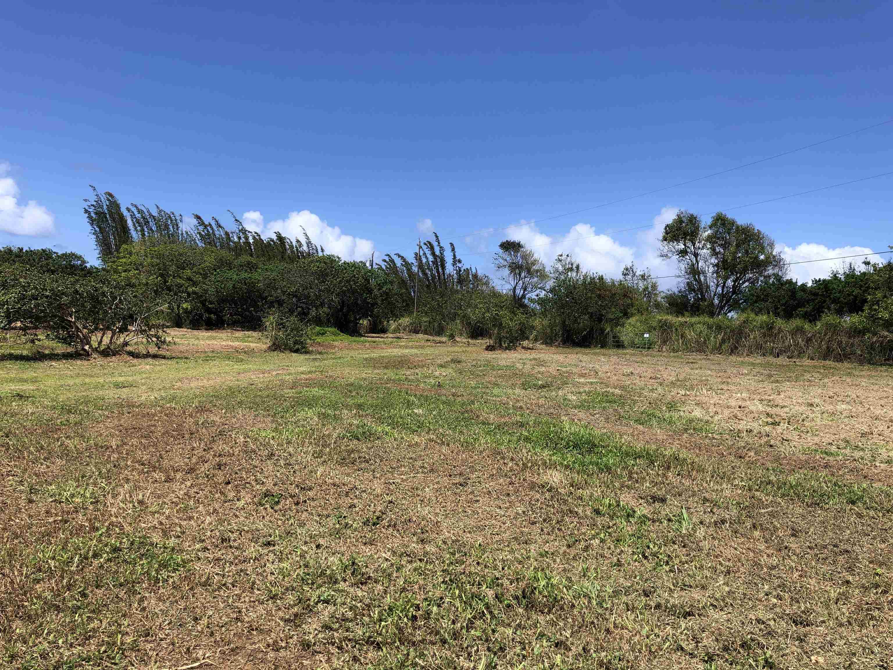 0 Haumana Rd Property Photo 11