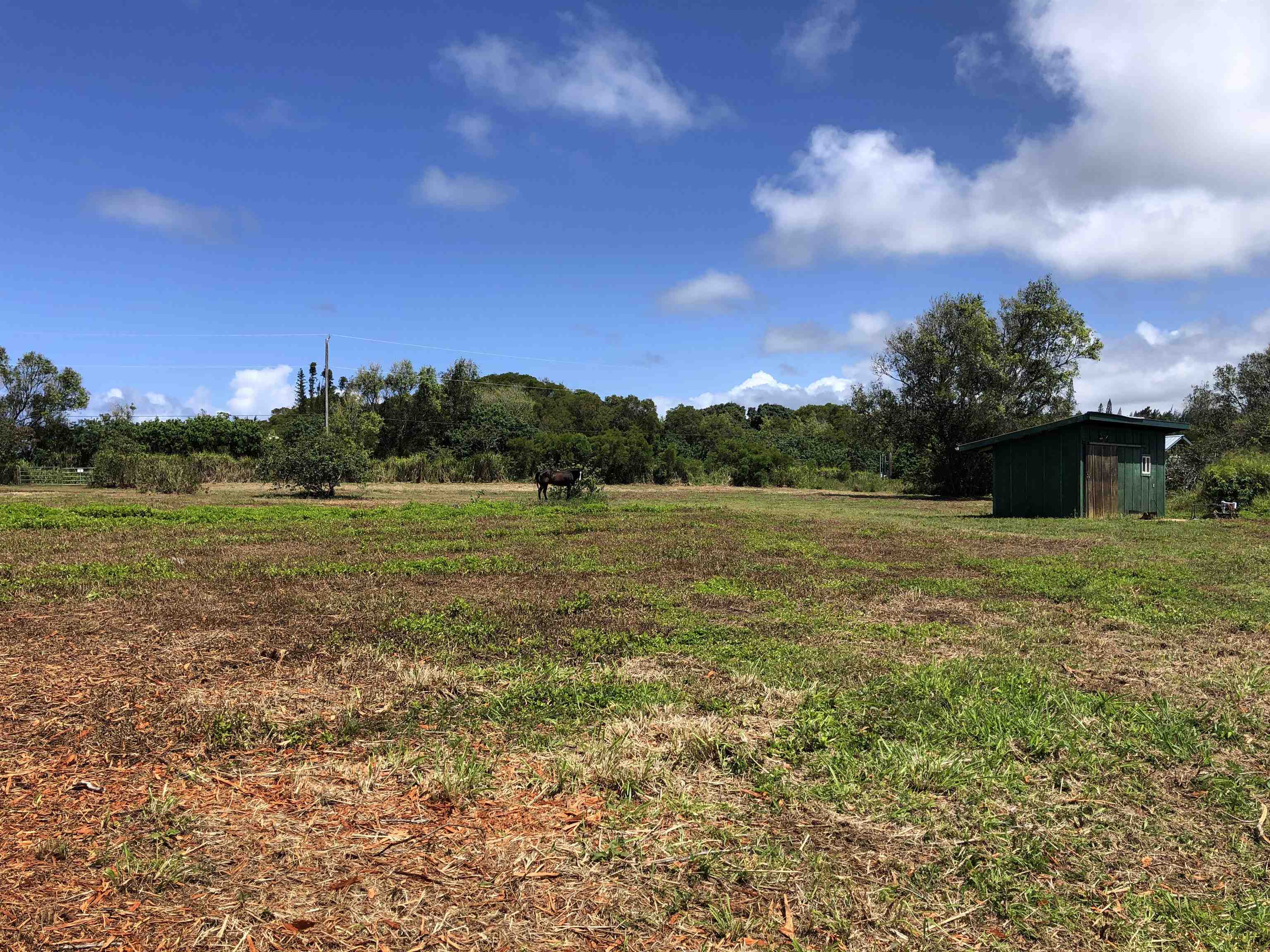 0 Haumana Rd Property Photo 13