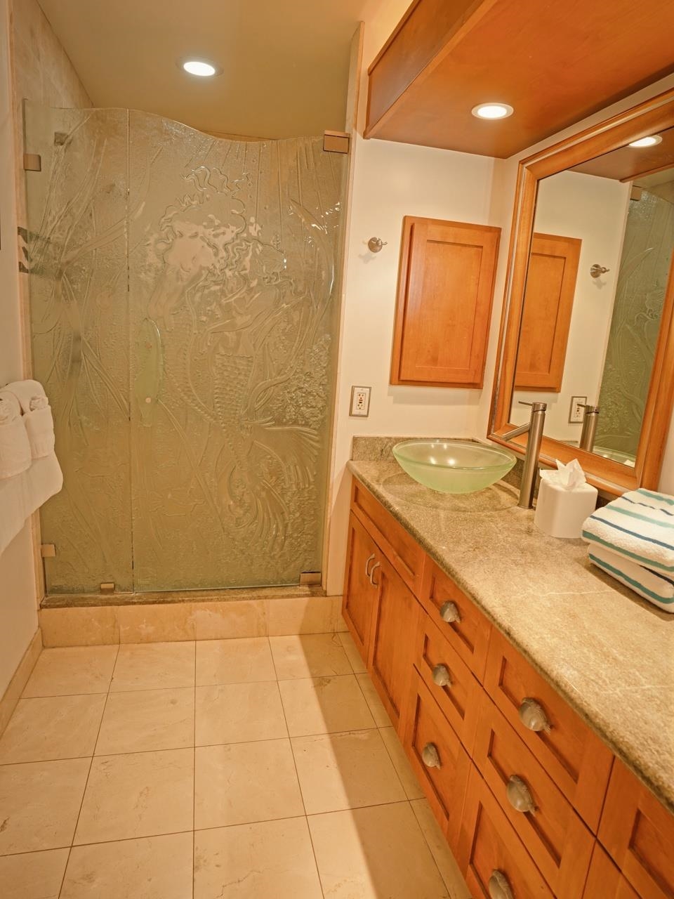 500 Kapalua Dr Property Photo 18