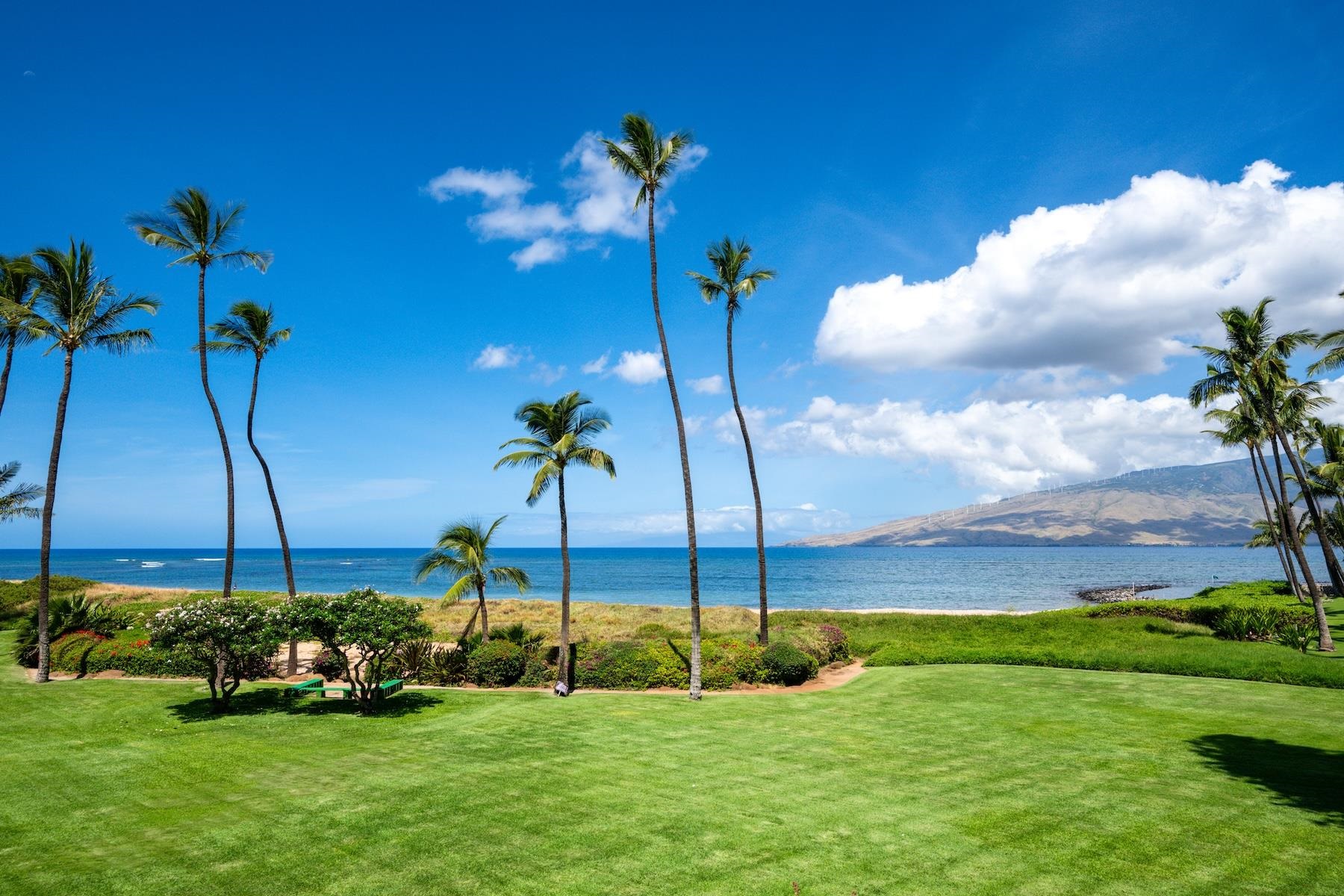 800 S Kihei Rd Property Photo