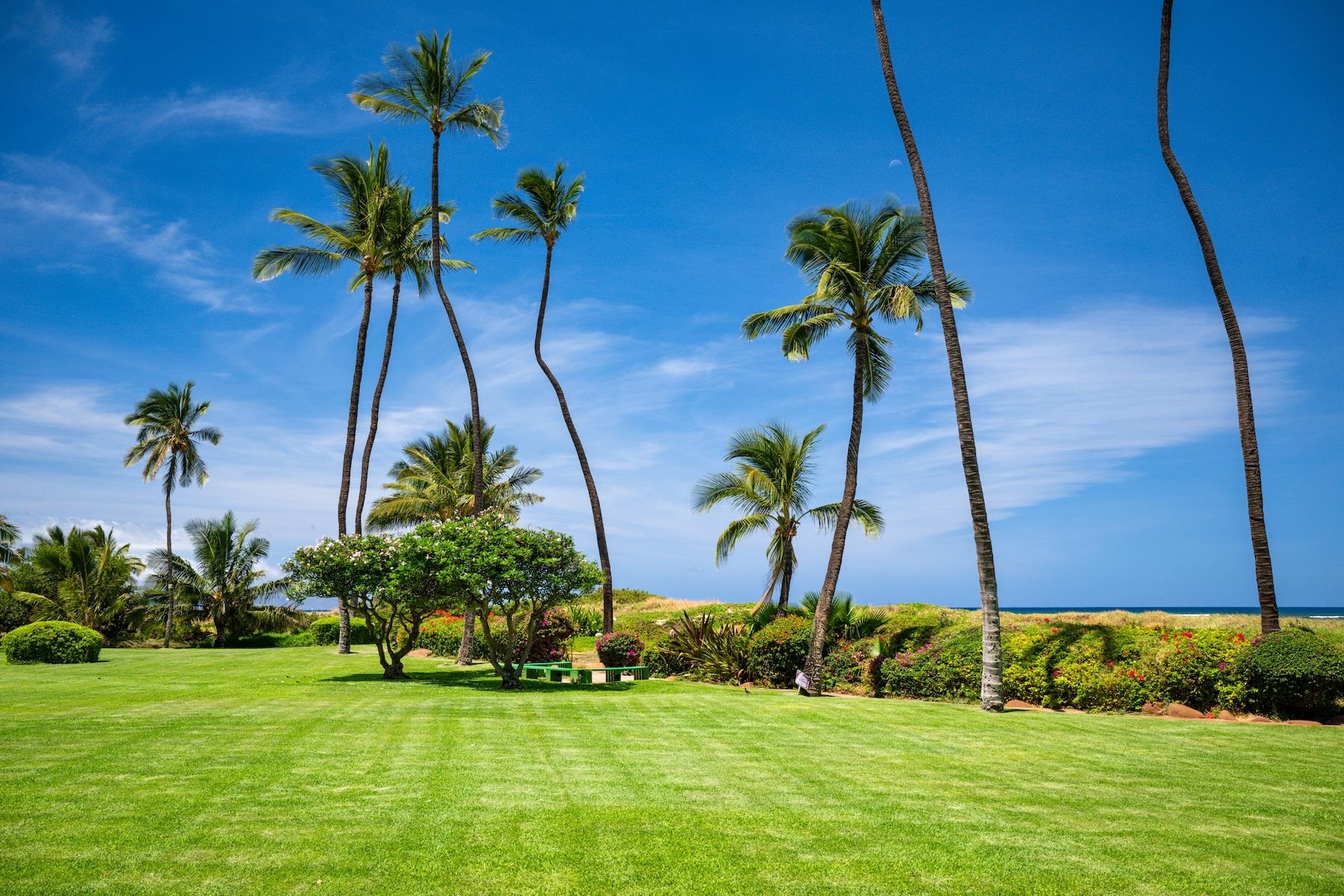 800 S Kihei Rd Property Photo 17