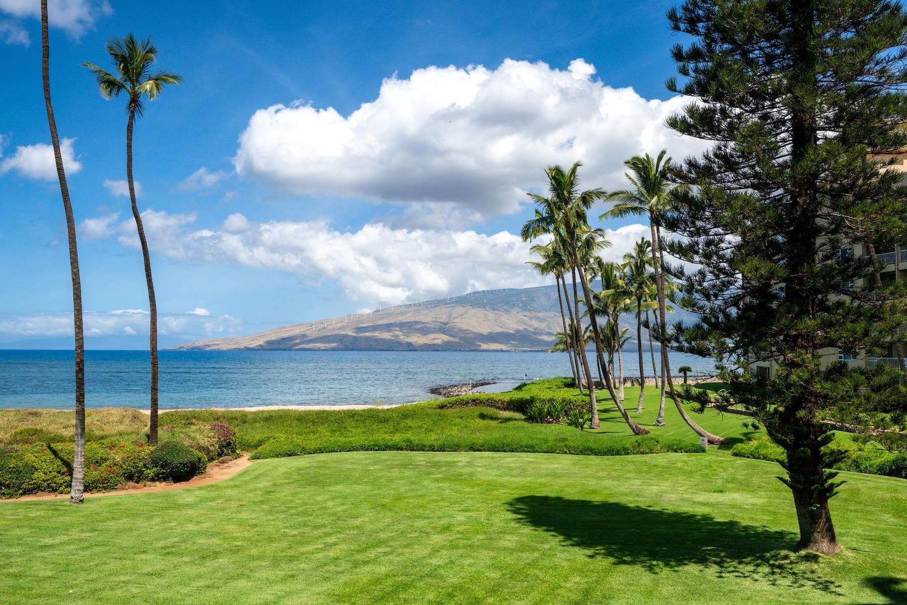 800 S Kihei Rd Property Photo 18