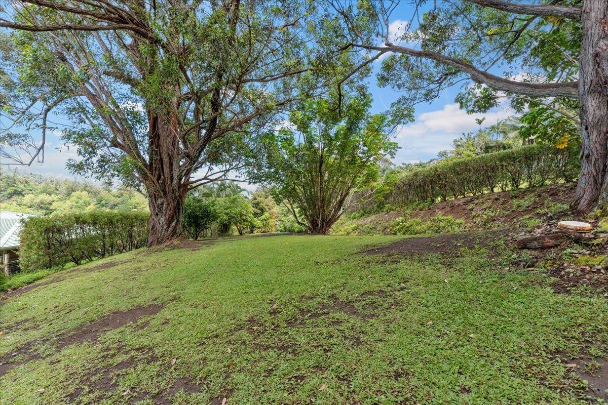 4492 Waha Pl Property Photo 50