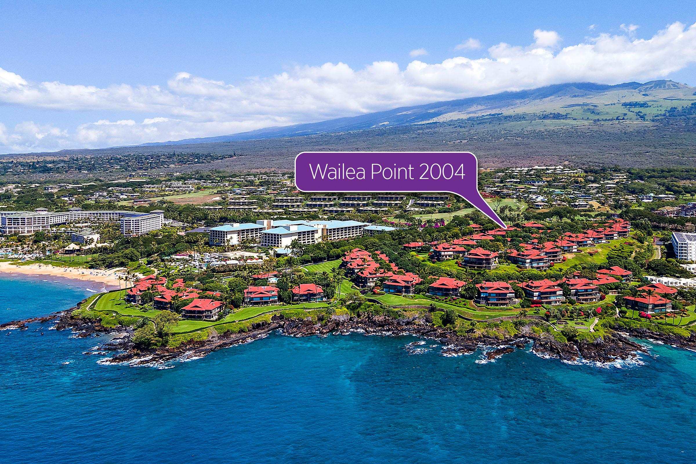 4000 Wailea Alanui Dr Property Photo 3
