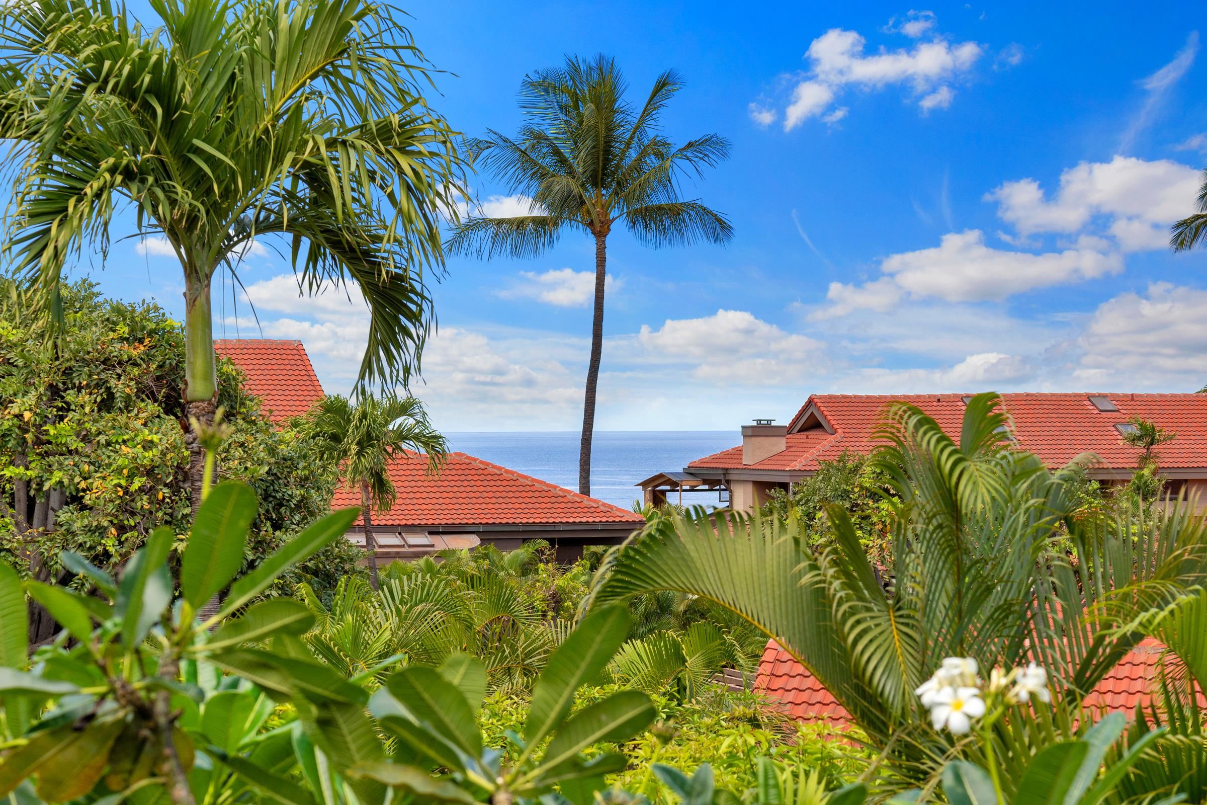 4000 Wailea Alanui Dr Property Photo 40