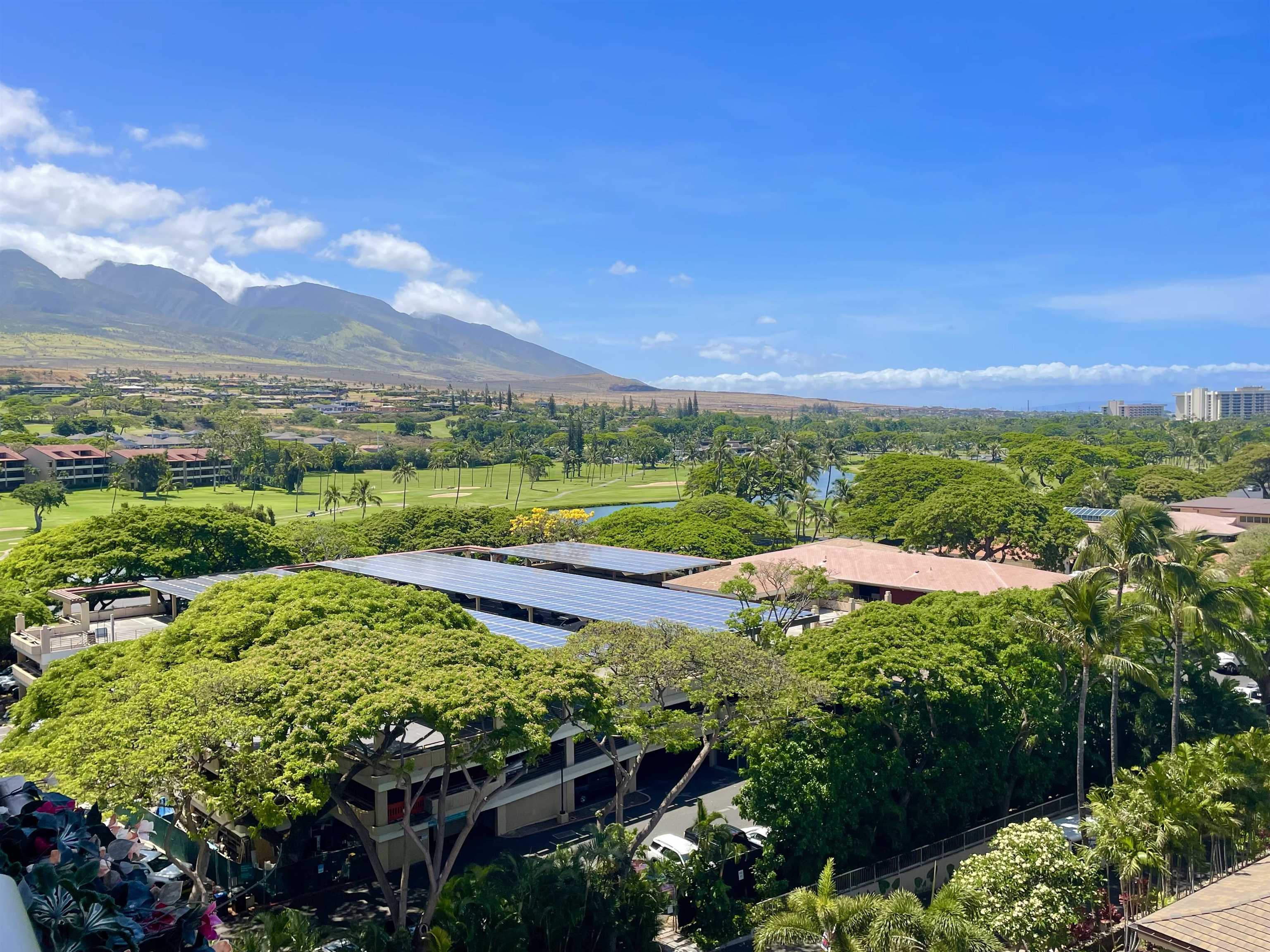 2481 Kaanapali Pkwy Property Photo 4