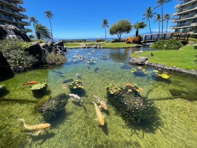 2481 Kaanapali Pkwy Property Photo 30