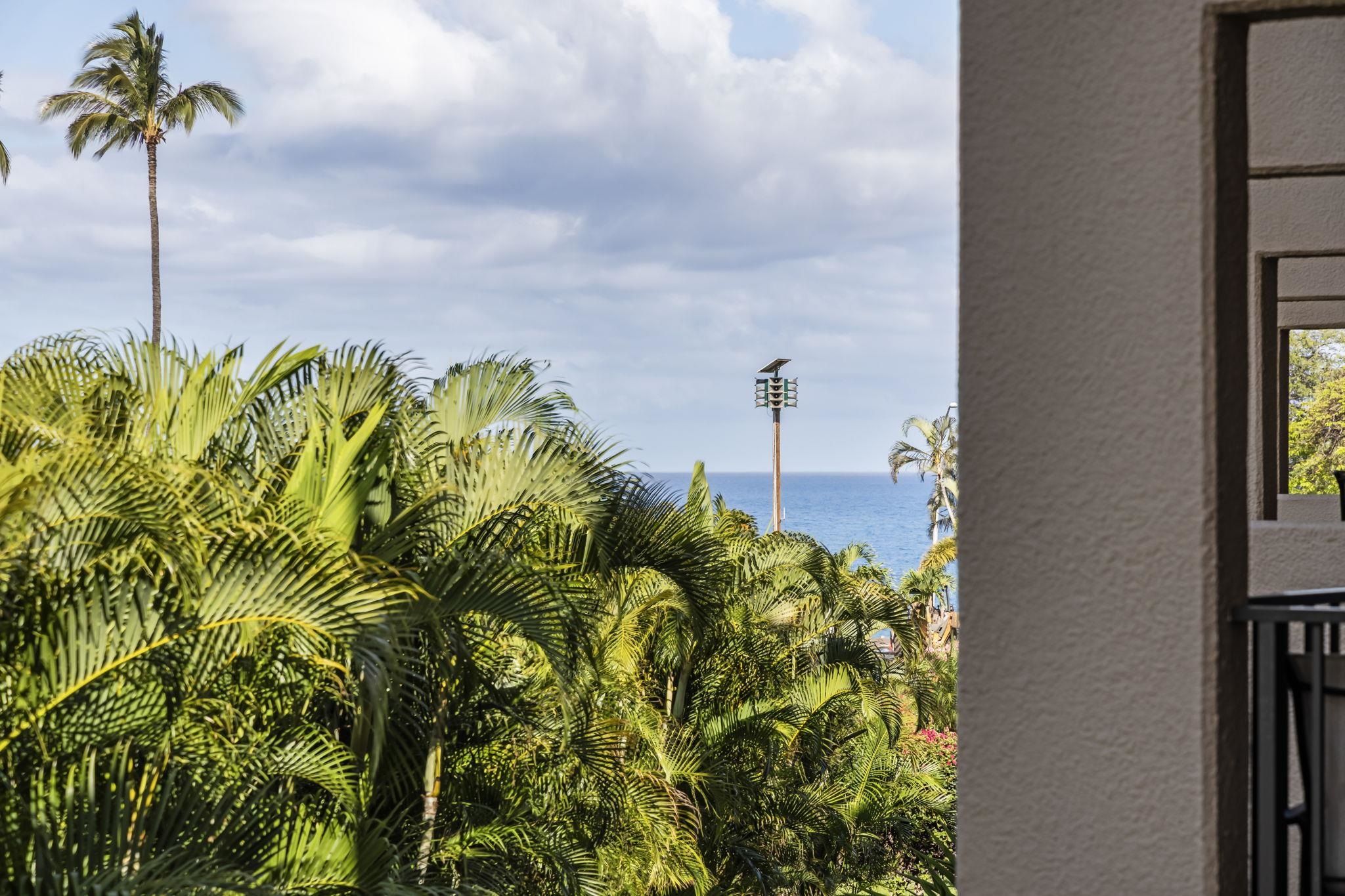 2695 S Kihei Rd Property Photo 27
