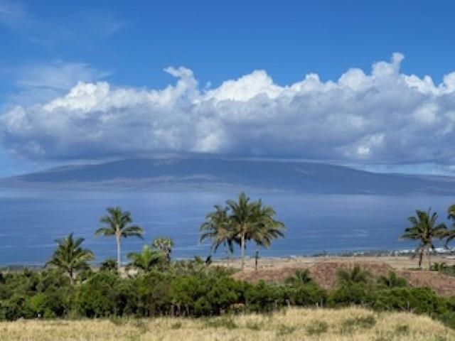 991 Unit A Kai Hele Ku Pl