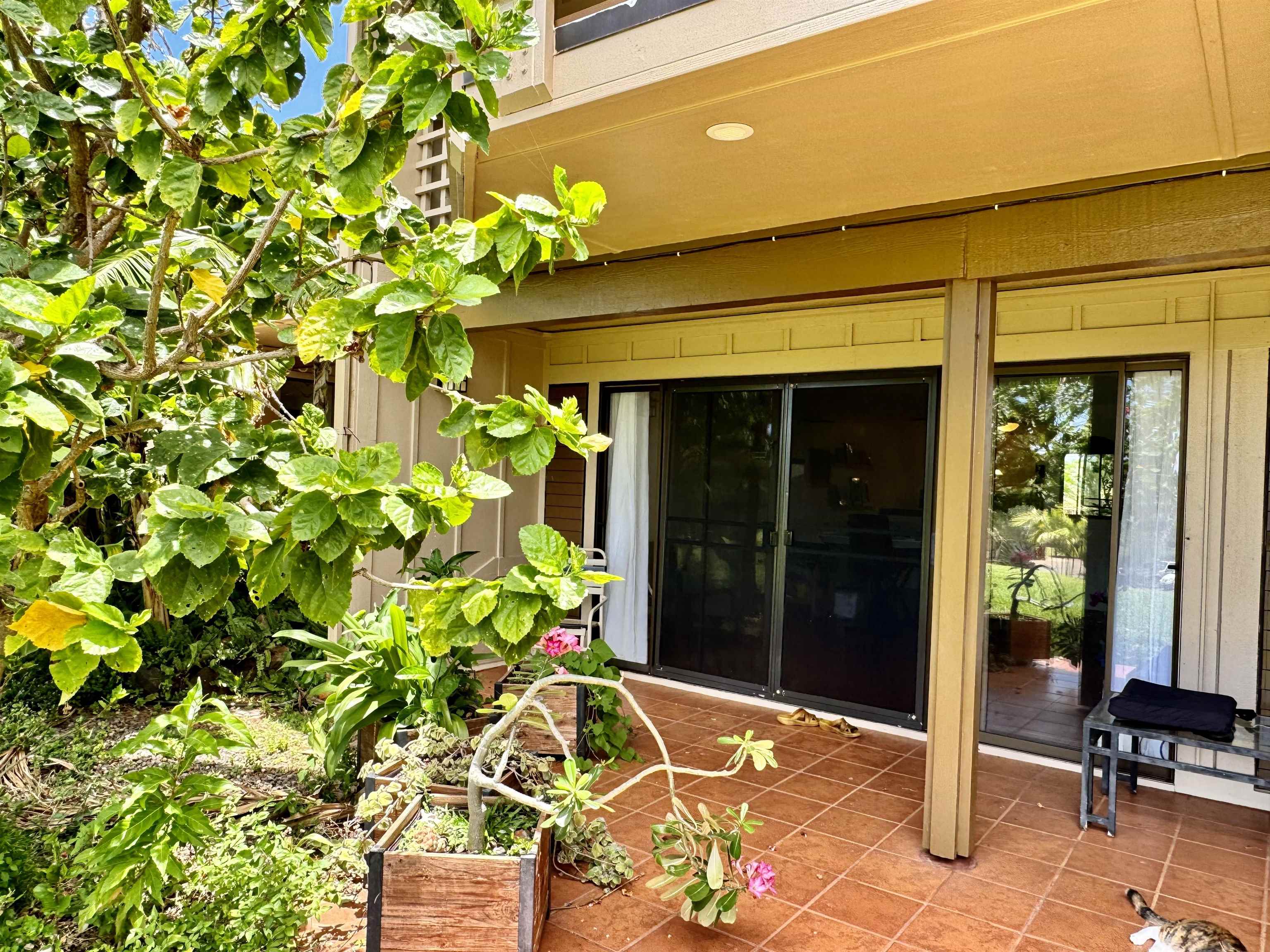 50 Kepuhi Pl Property Photo 19