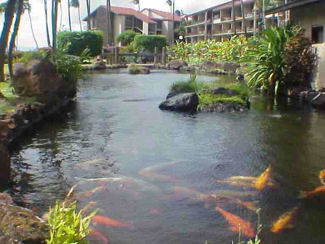 3543 Lower Honoapiilani Rd Property Photo 17