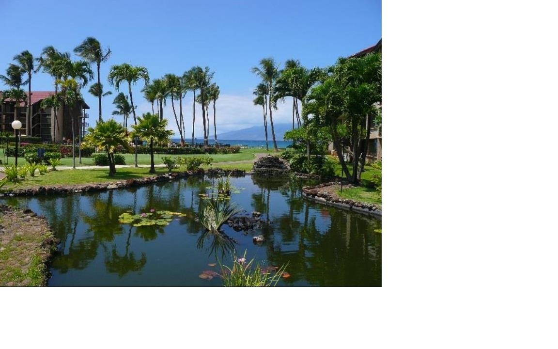 3543 Lower Honoapiilani Rd Property Photo 19