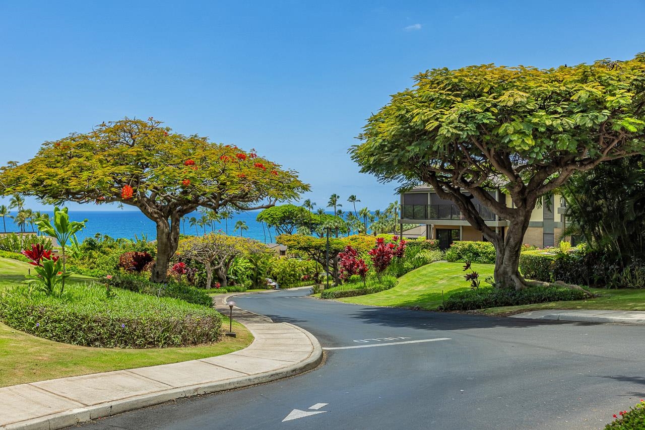 3600 Wailea Alanui Dr Property Photo 43