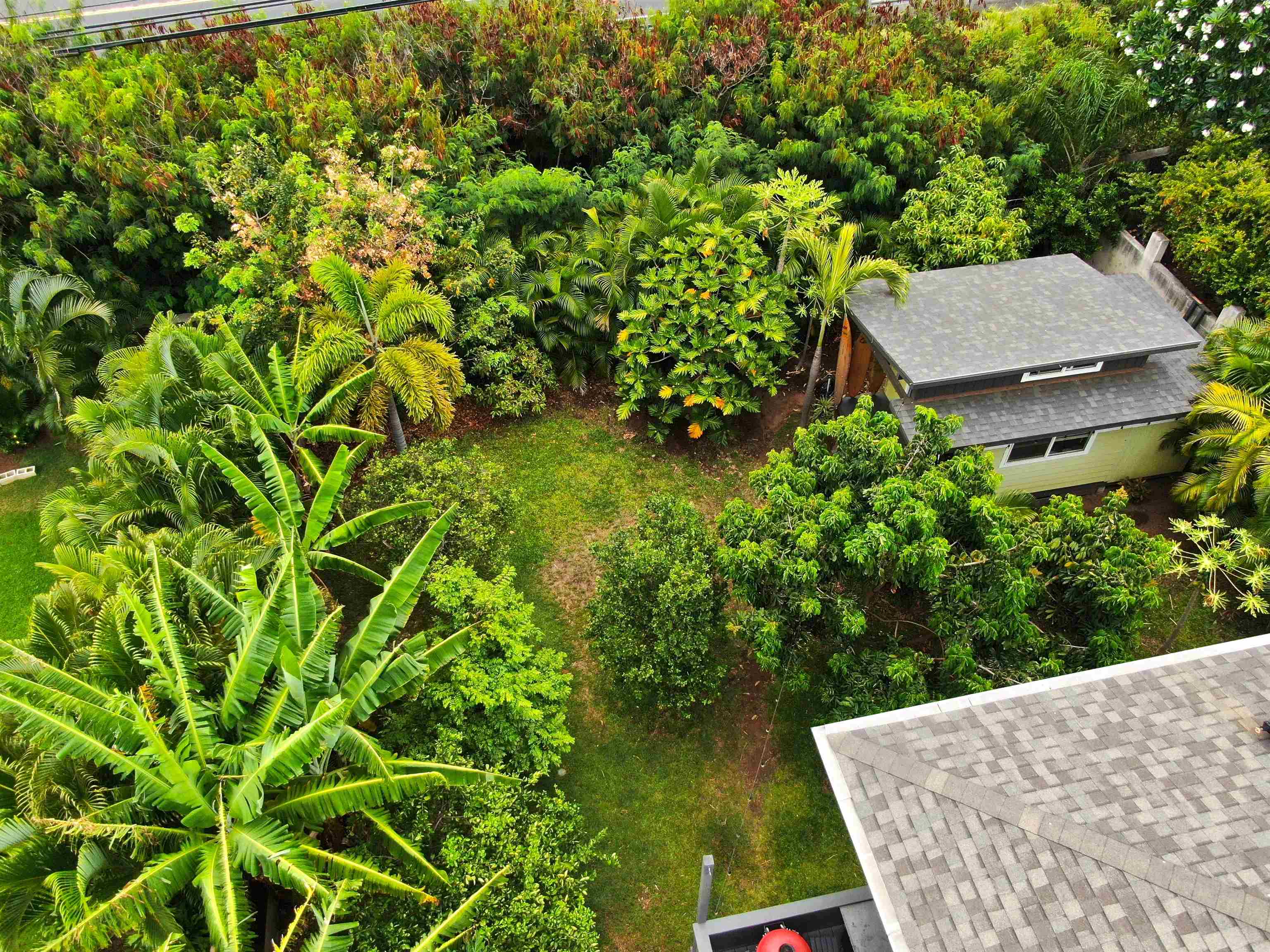 2755 Panepoo St Property Photo 49